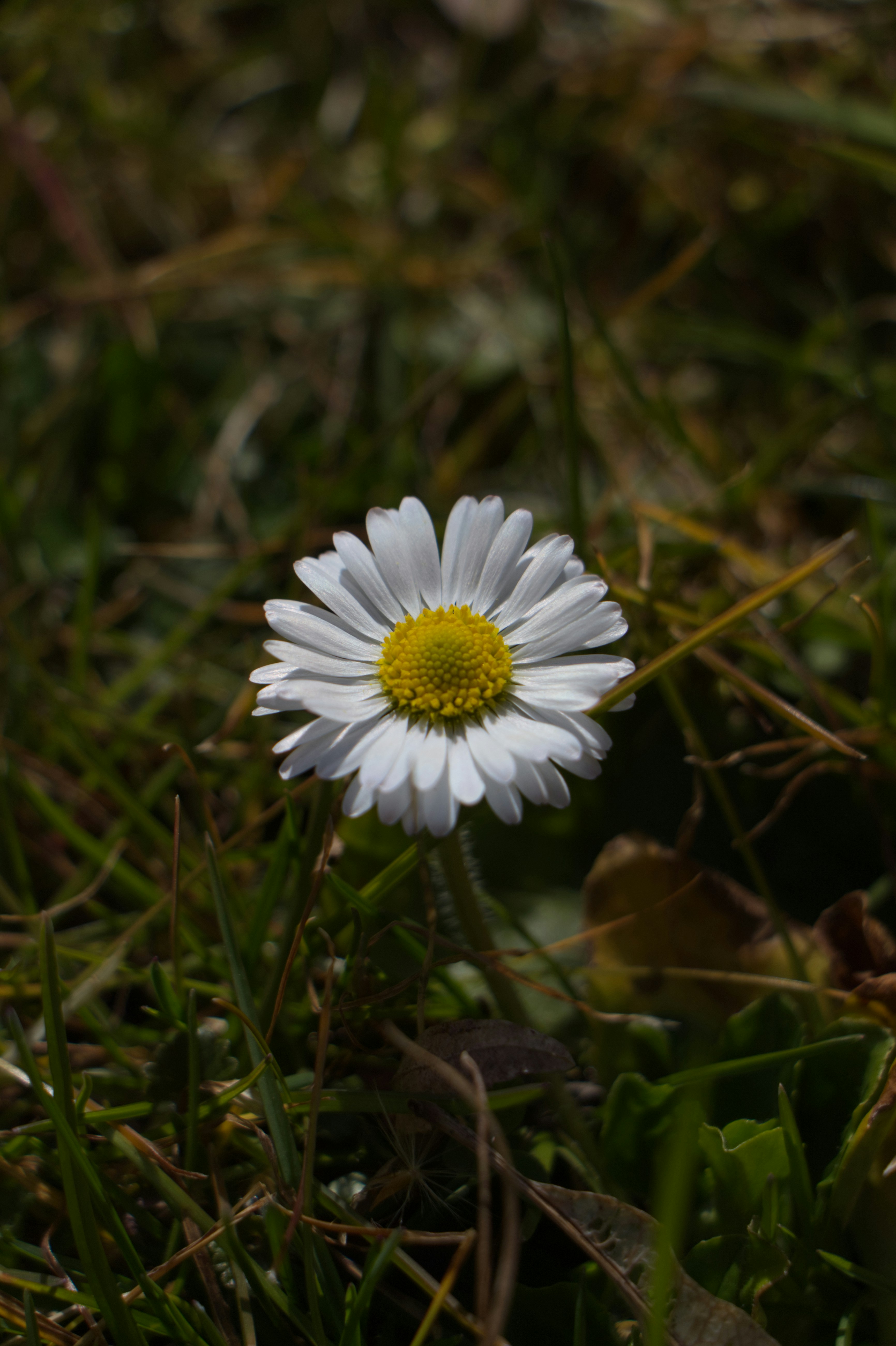 Photo by spaceboundstudio