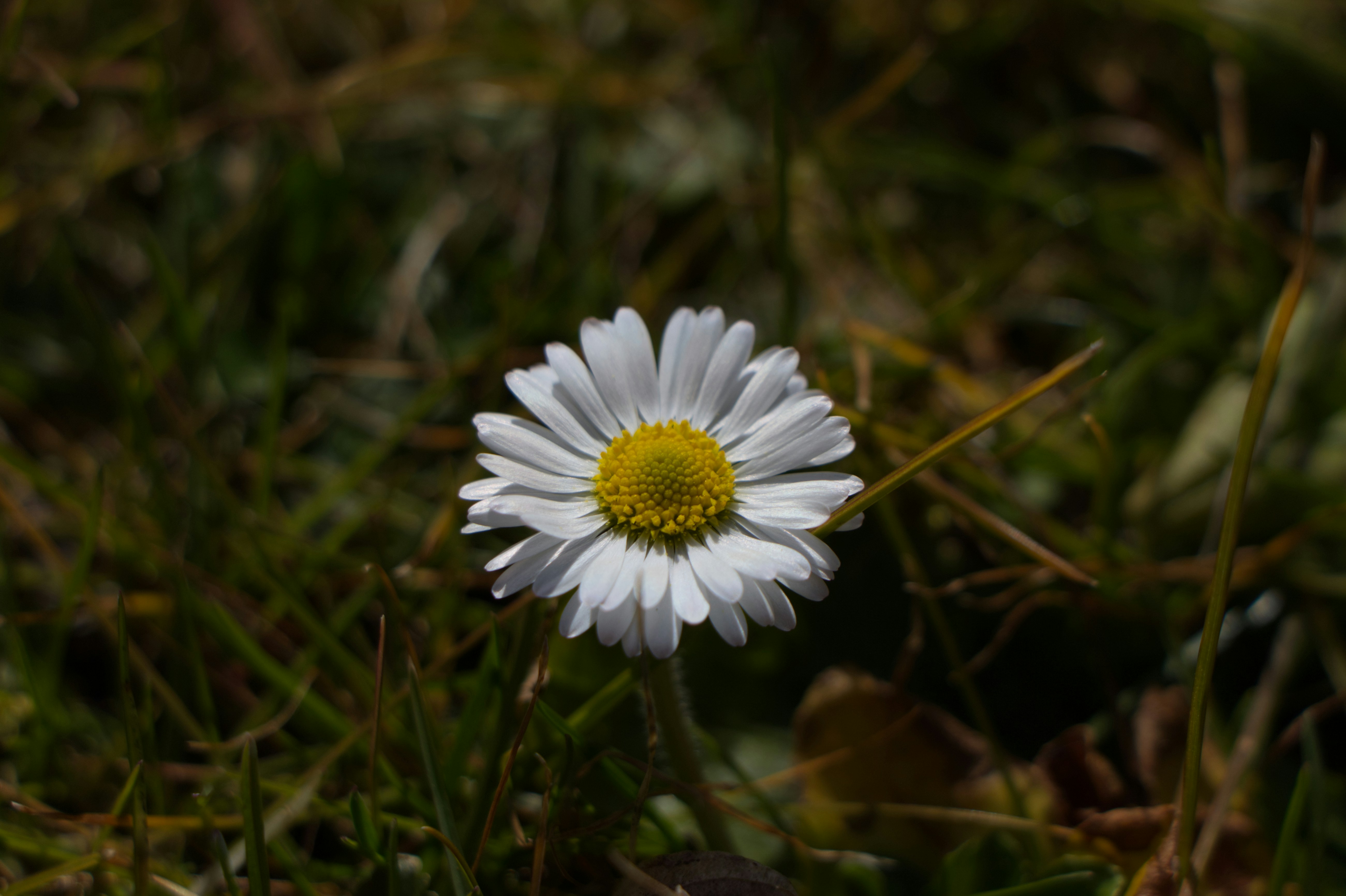 Photo by spaceboundstudio