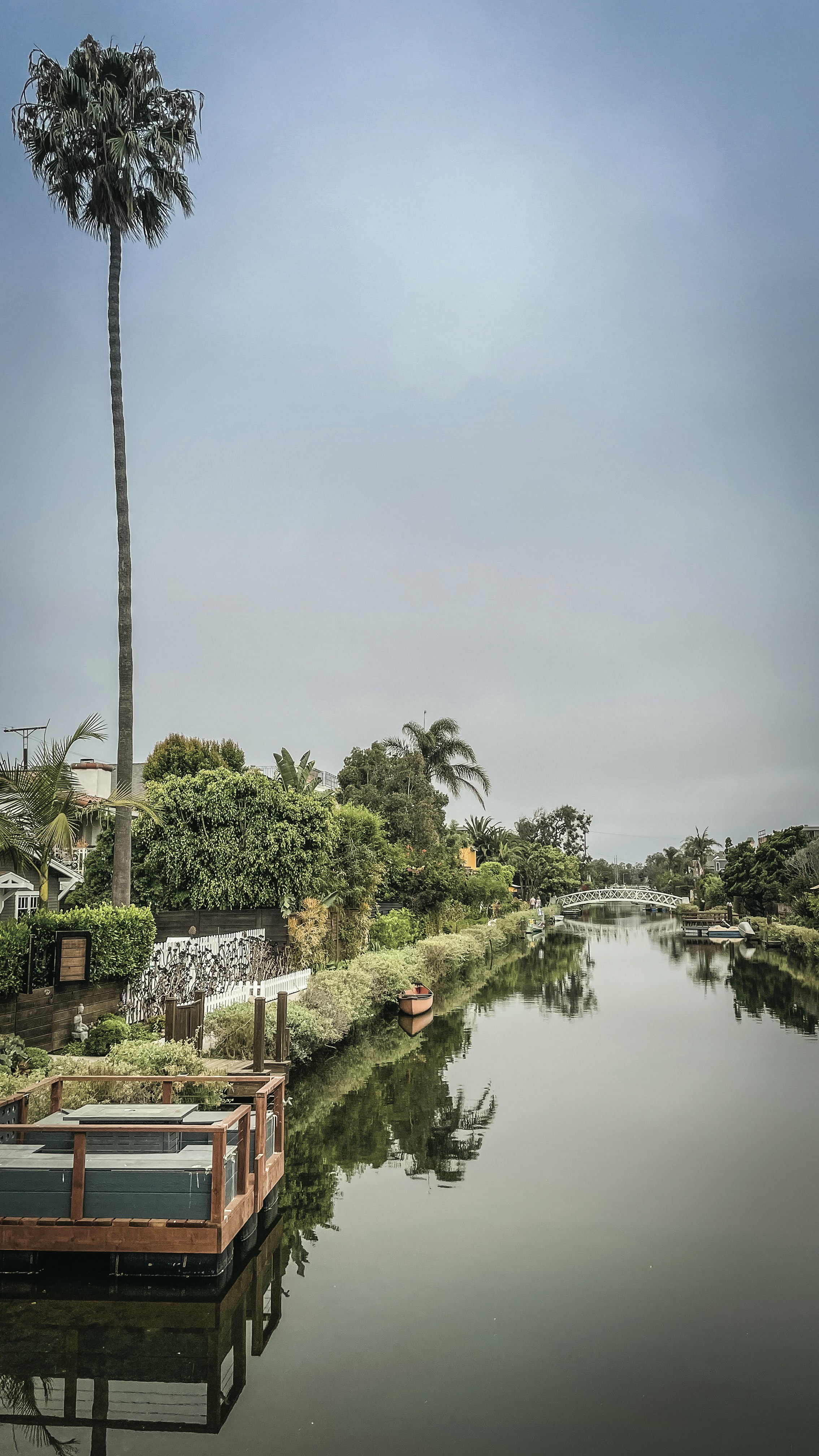 A tall palm tree overlooks a calm canal with reflections.