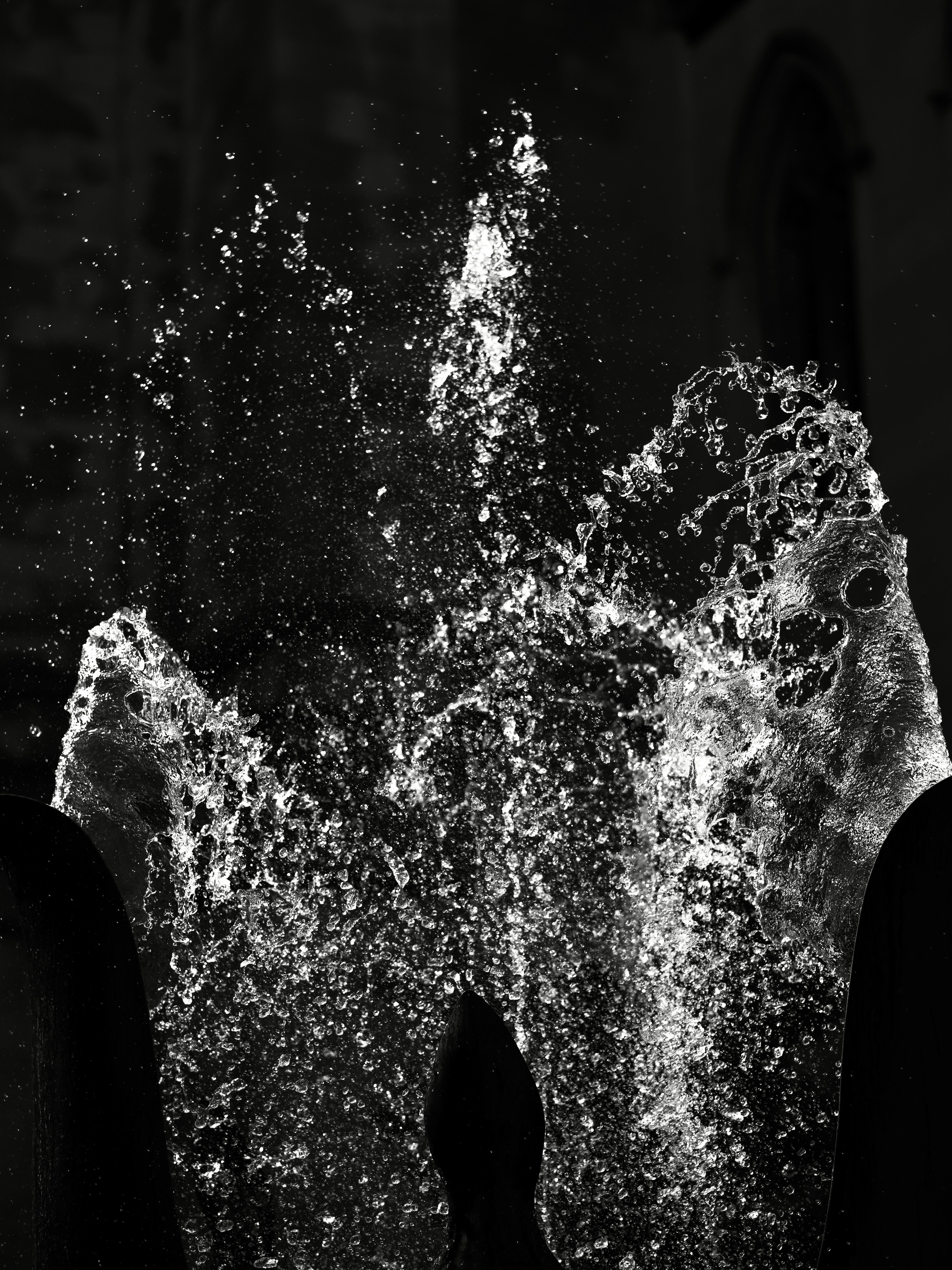 Photo by sschusterphotoart