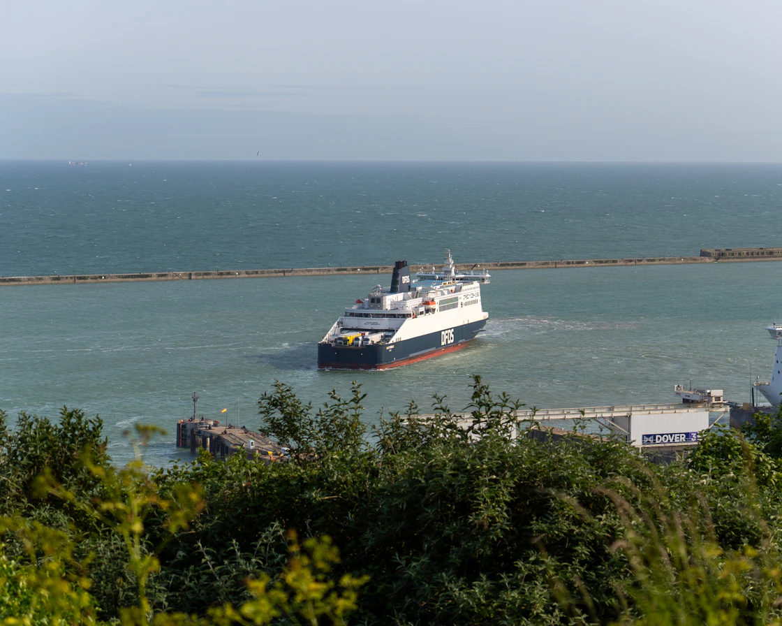 A ferry sails out of Dover harbour past the breakwater, seen from the scrub on the cliff above.