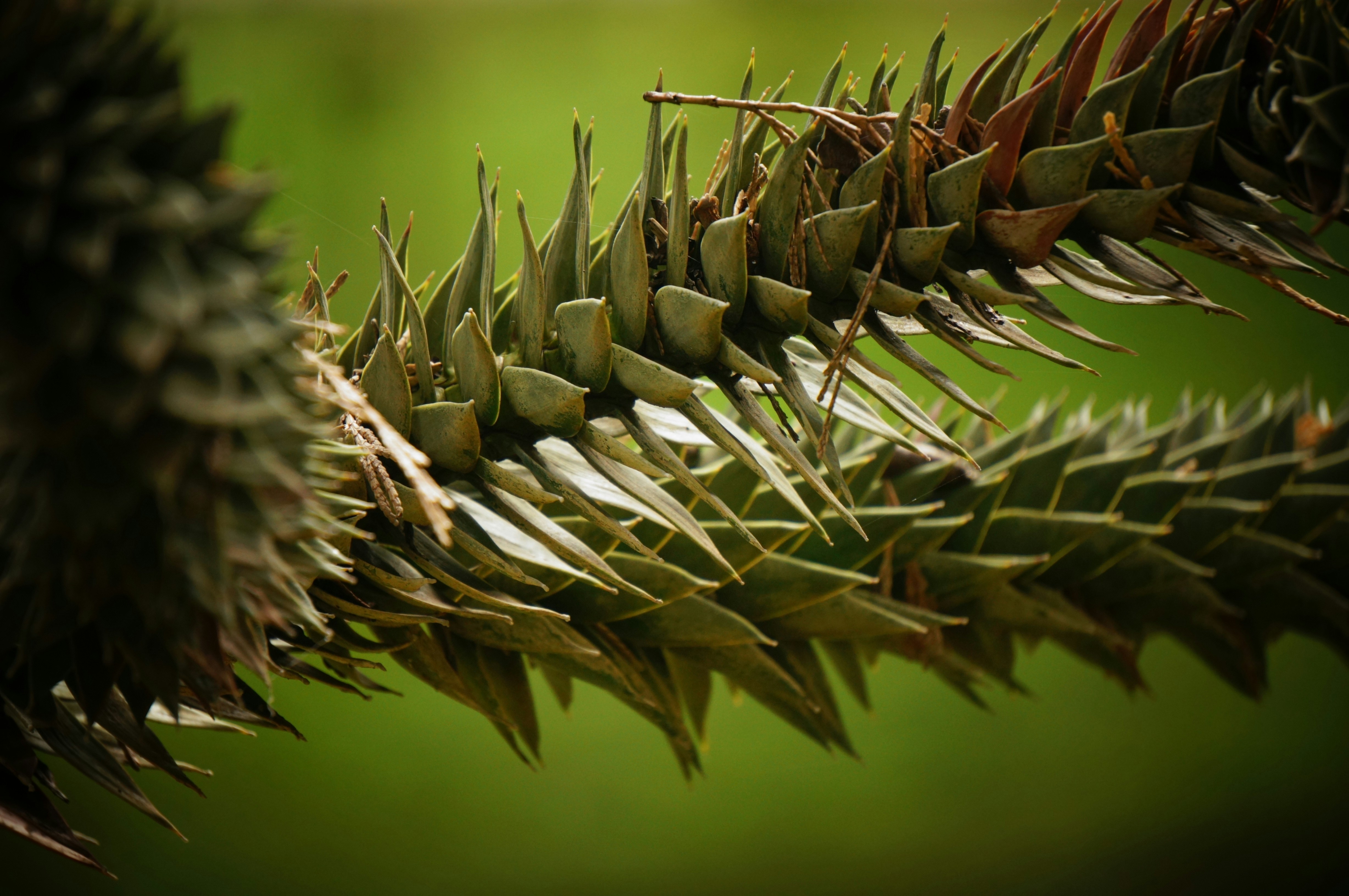 Photo by megaviolence