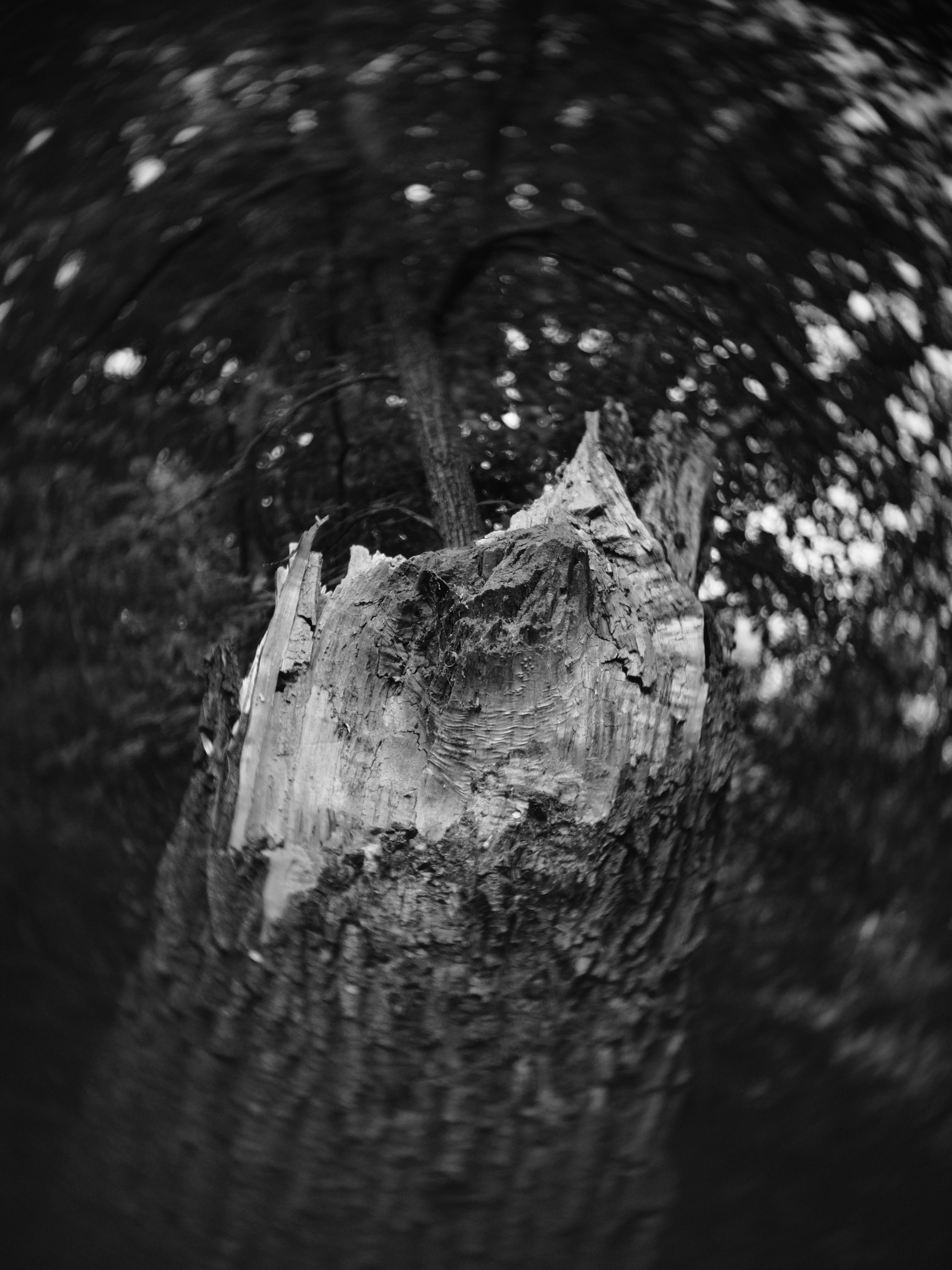 Photo by megaviolence