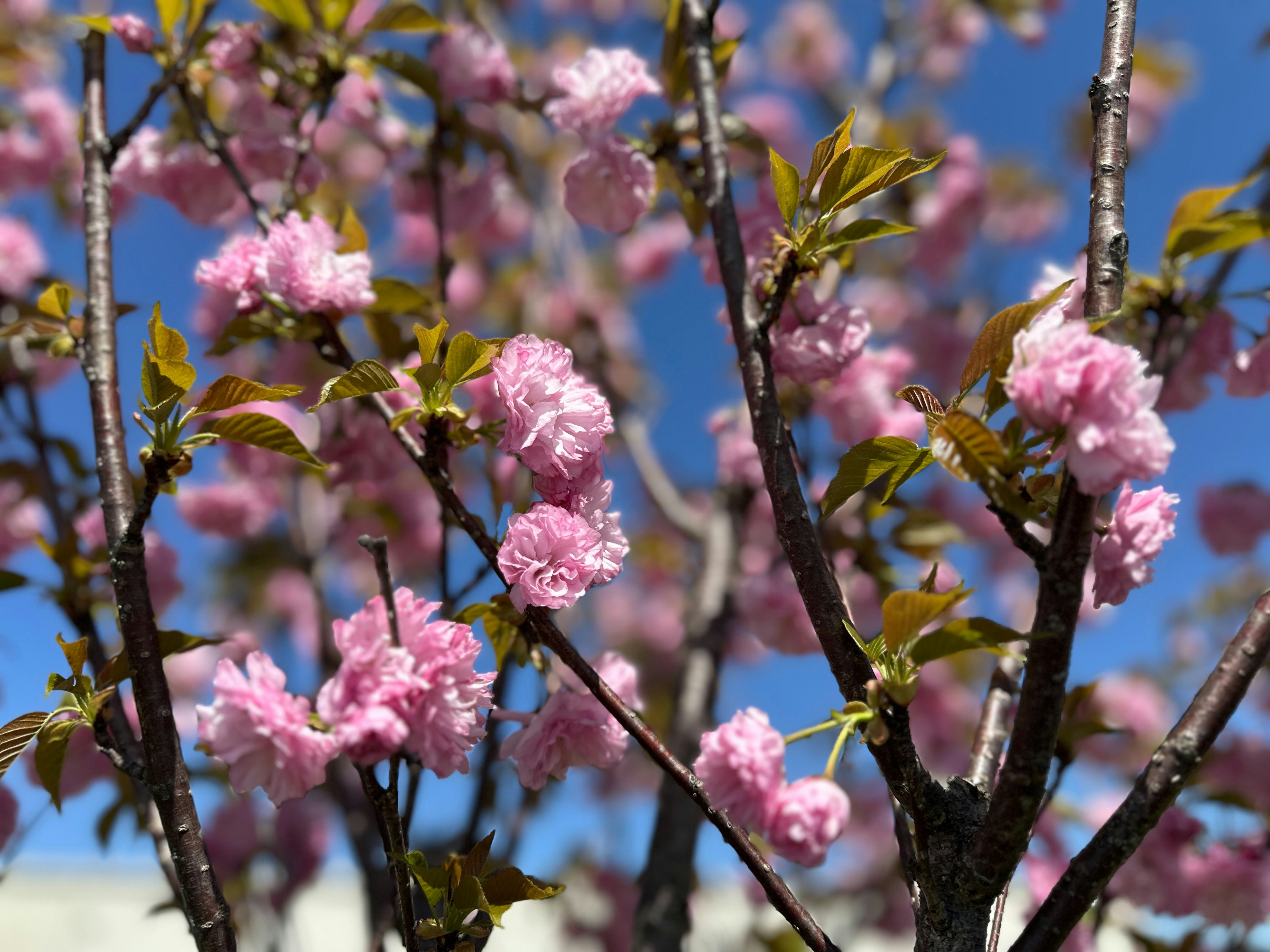 Photo by trailshutter