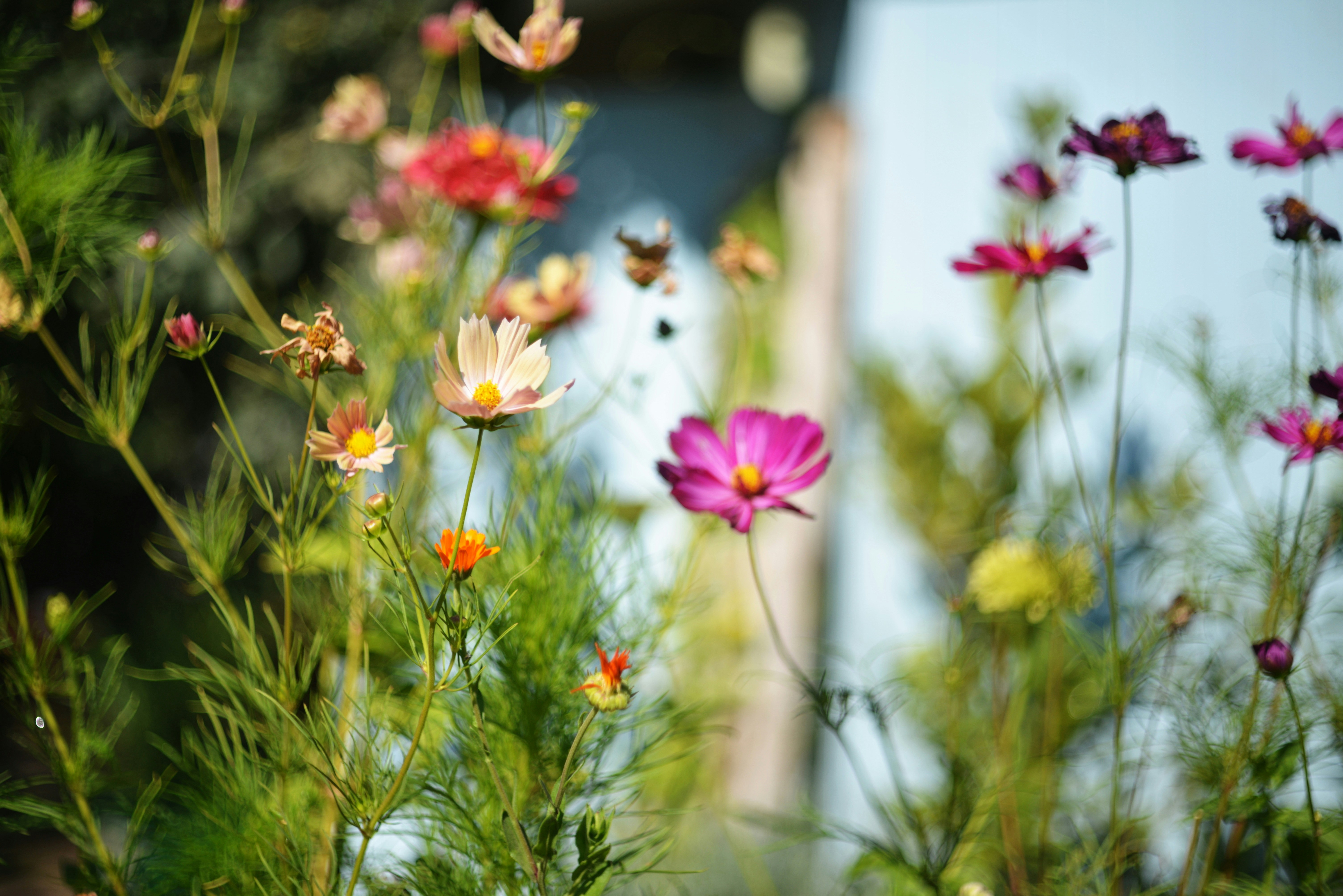 Photo by cherstve_pechivo