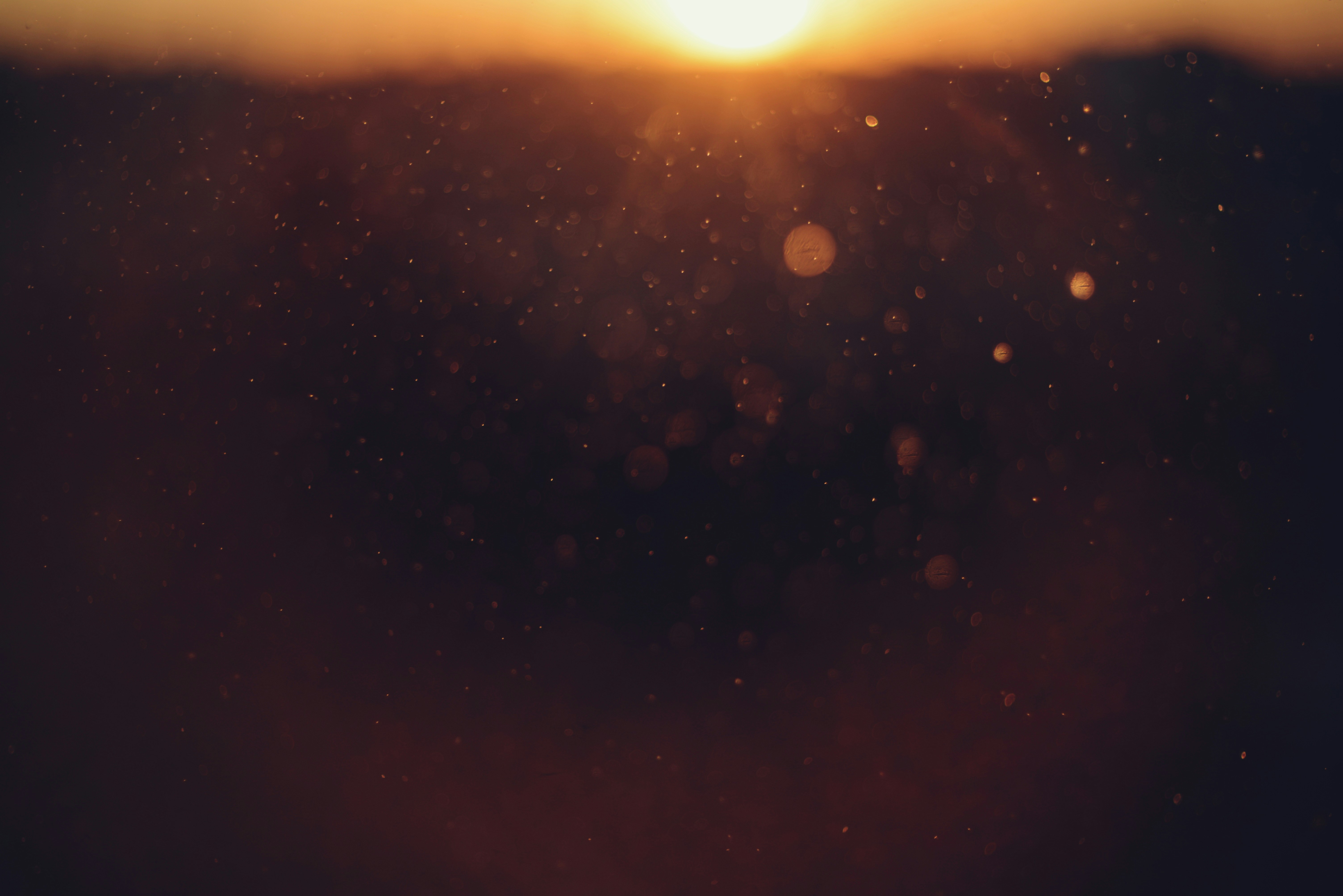 Photo by cherstve_pechivo