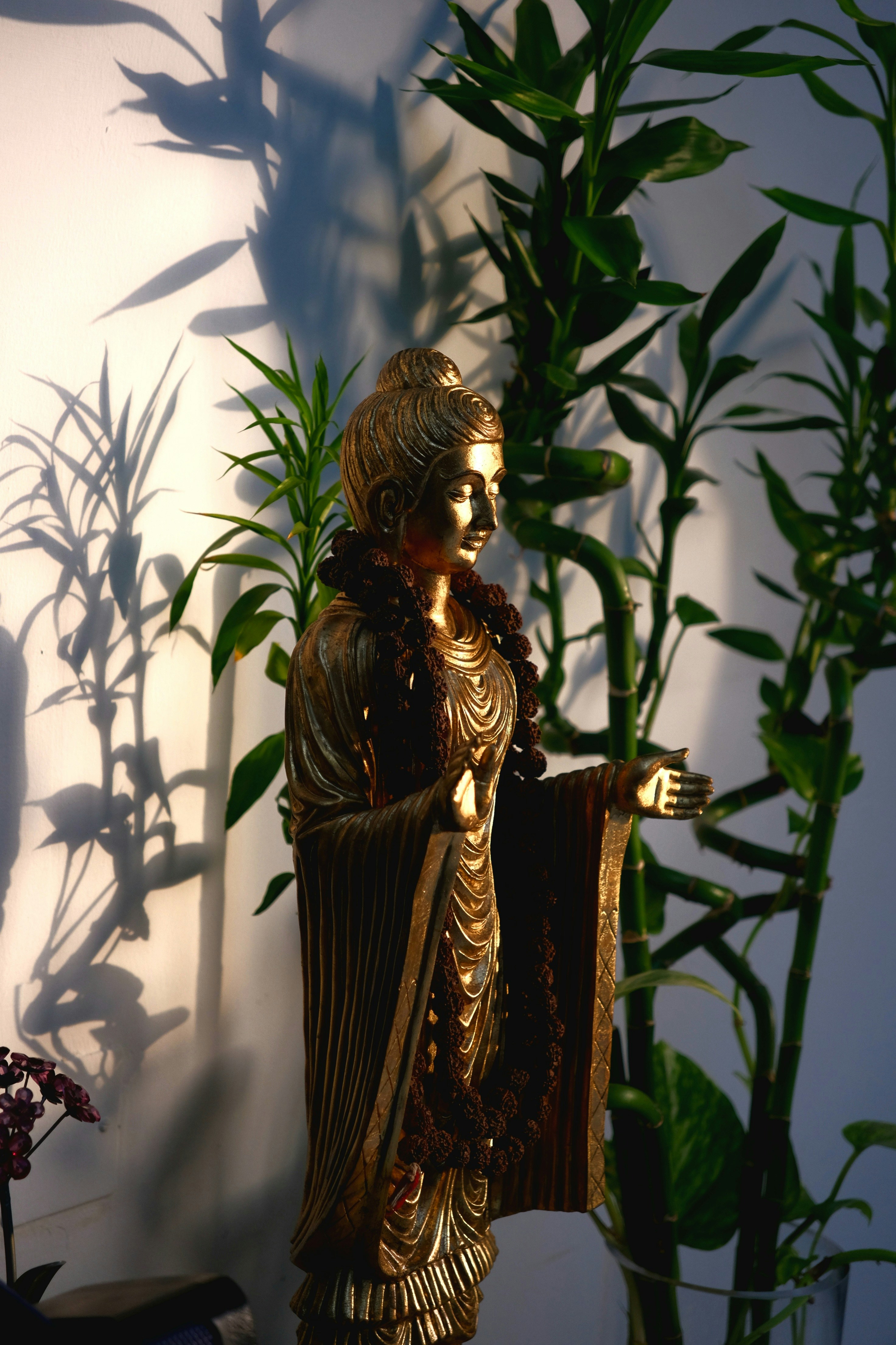 Photo by v91_photography