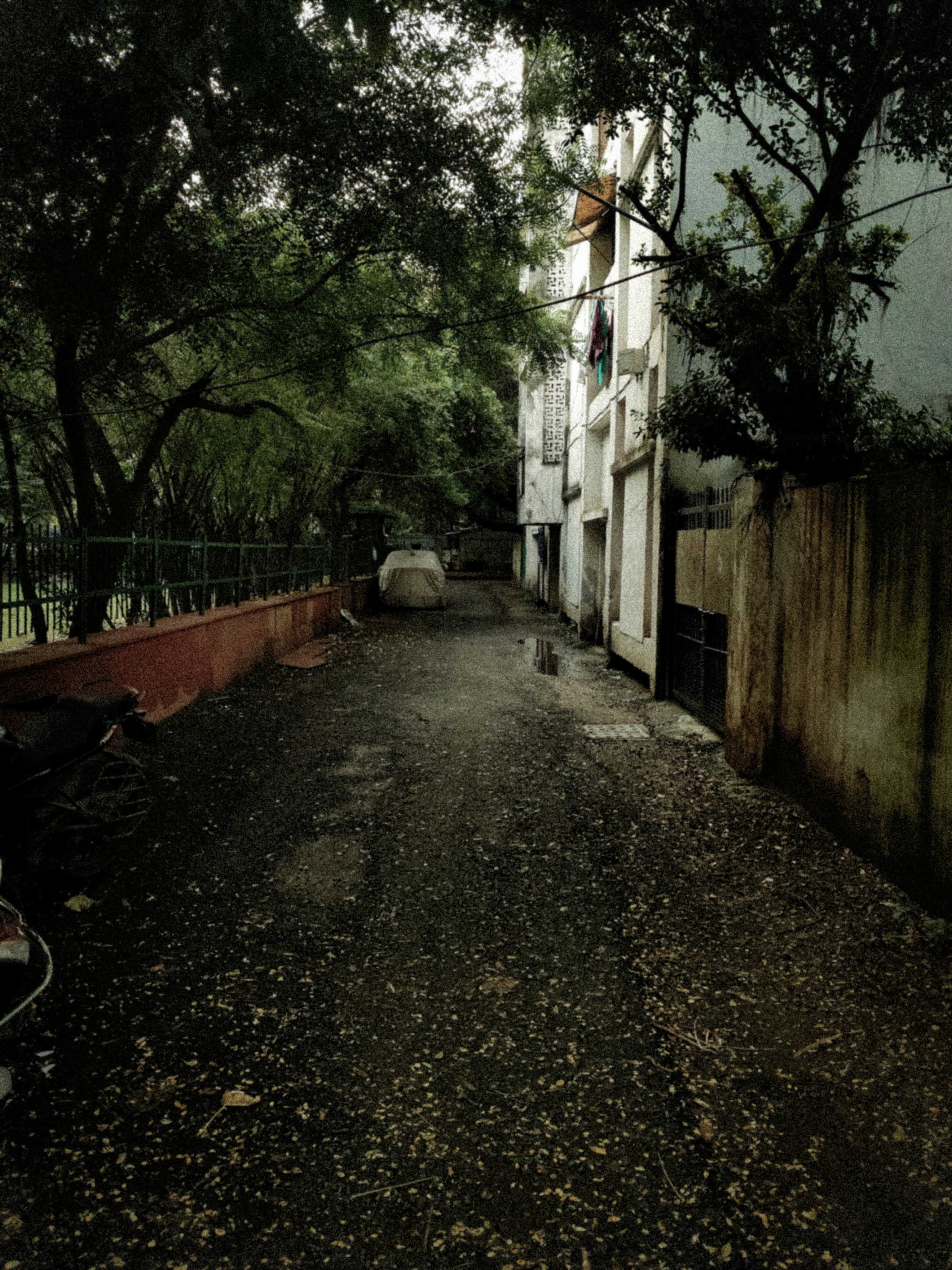 A narrow path between buildings and trees photo – Free Image on Unsplash
