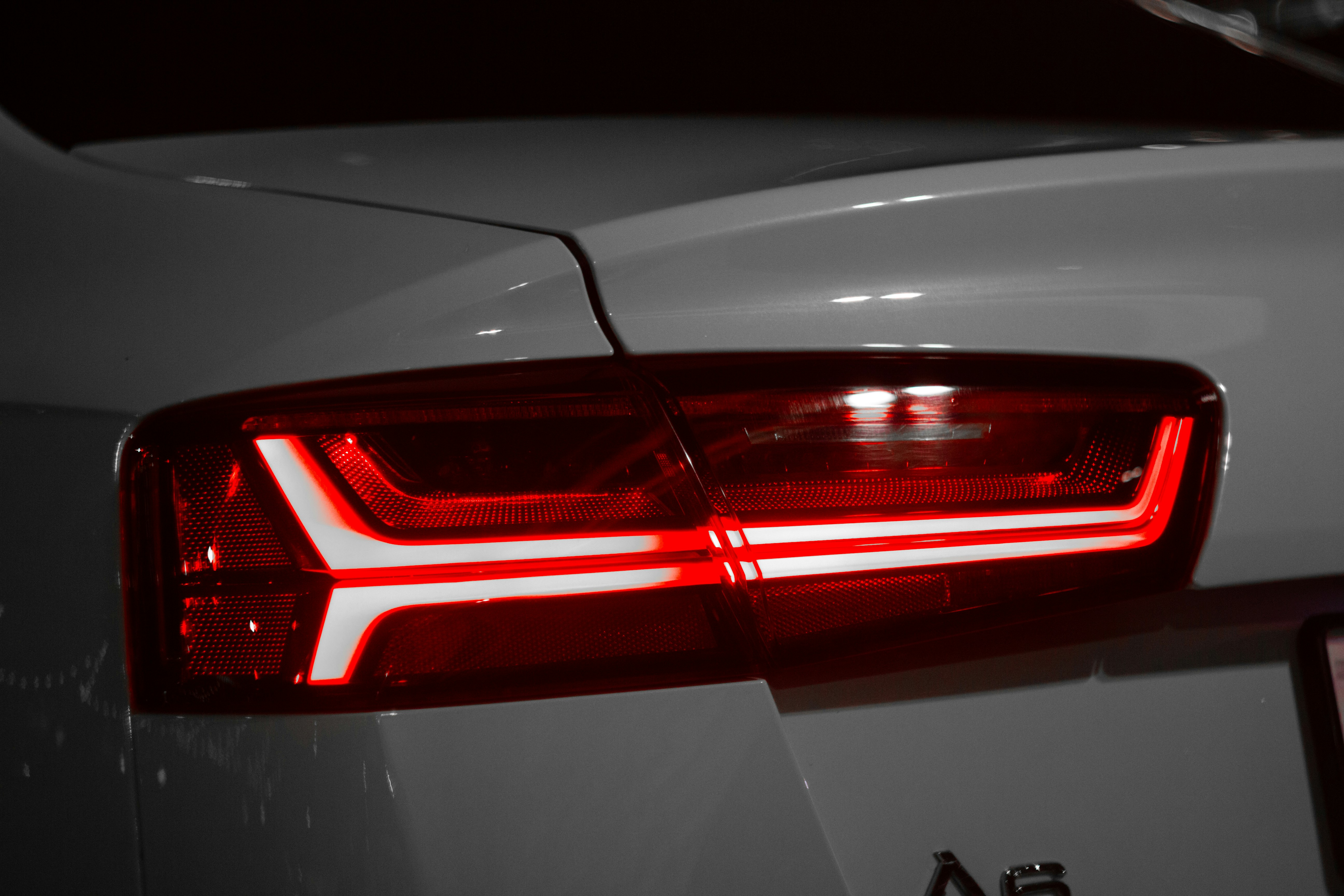 Photo by felis_catus