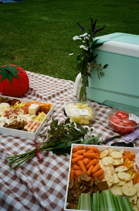 Picnic spread with assorted foods and cooler on checkered blanket