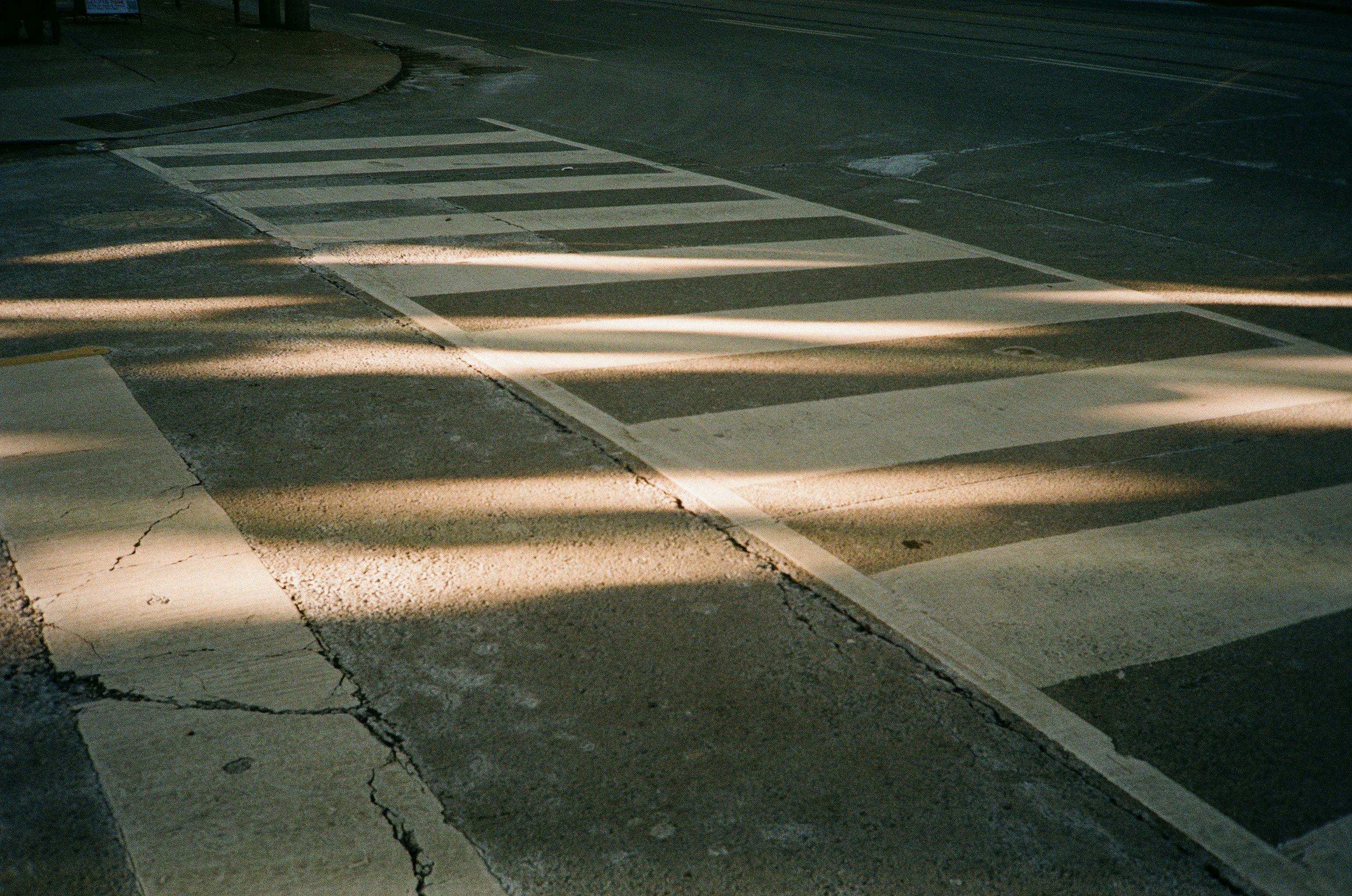 Crosswalk with sunlight streaming through trees
