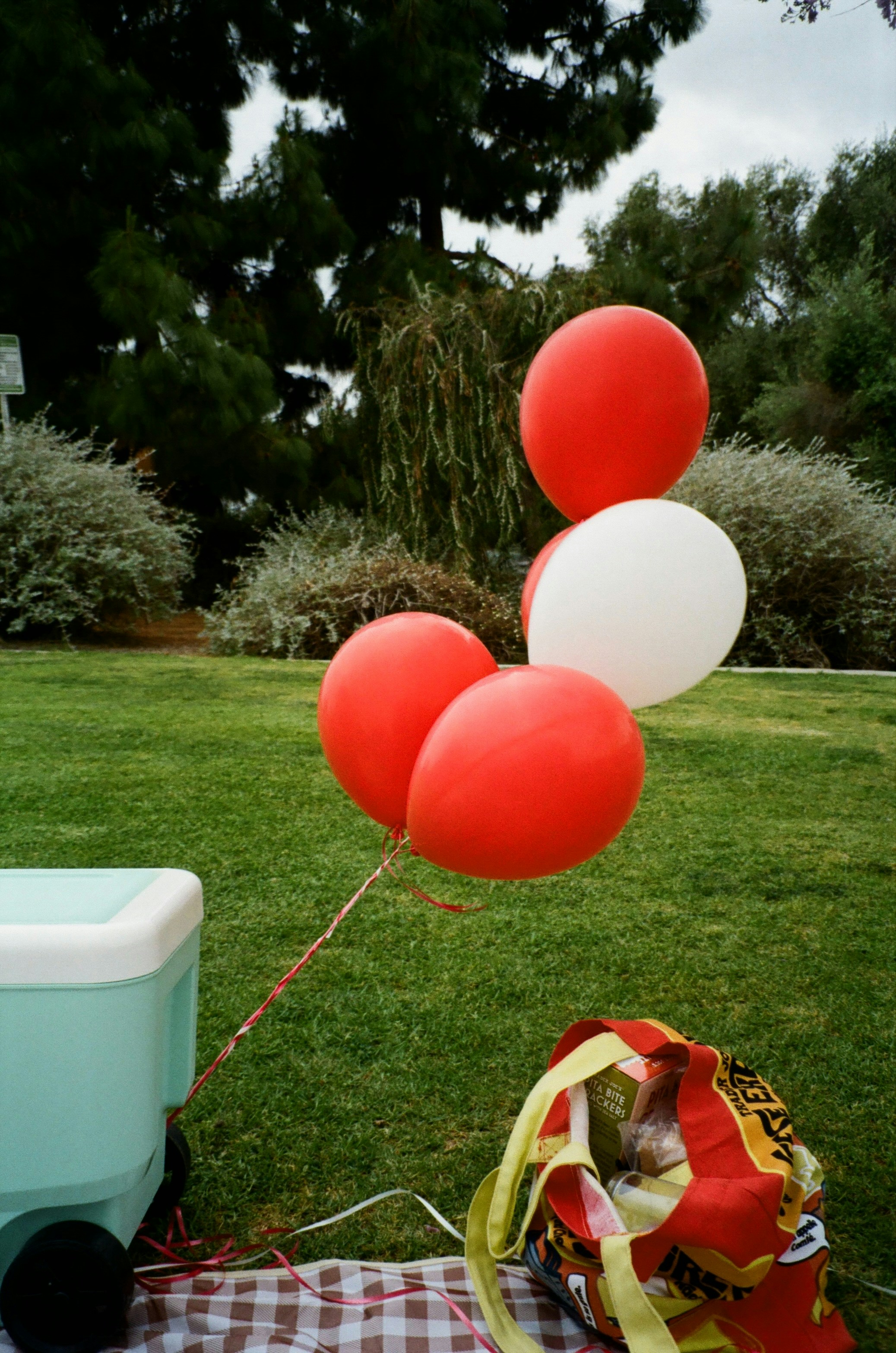 Red and white balloons float above picnic supplies.