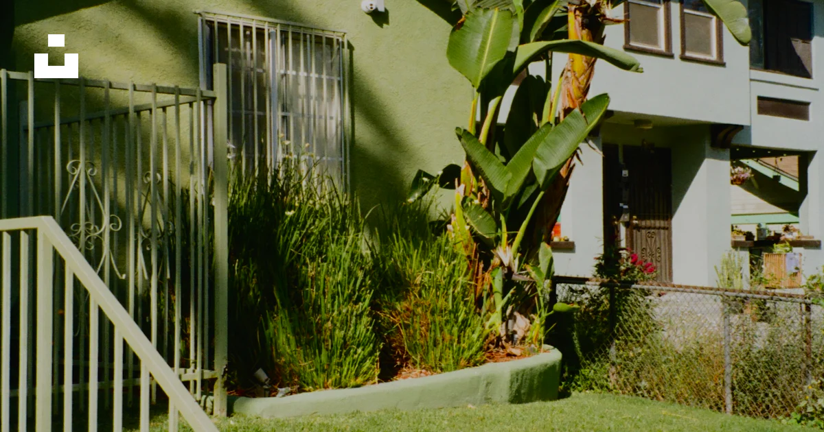 Green Penthouse Apartment Green Roofing And Vegetation Systems photo