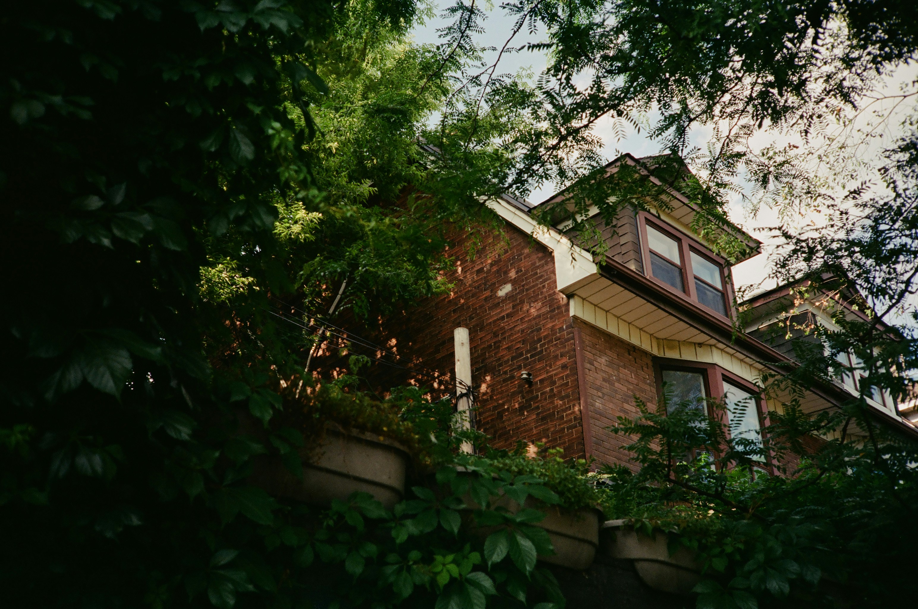 Brick house with bay window surrounded by greenery.