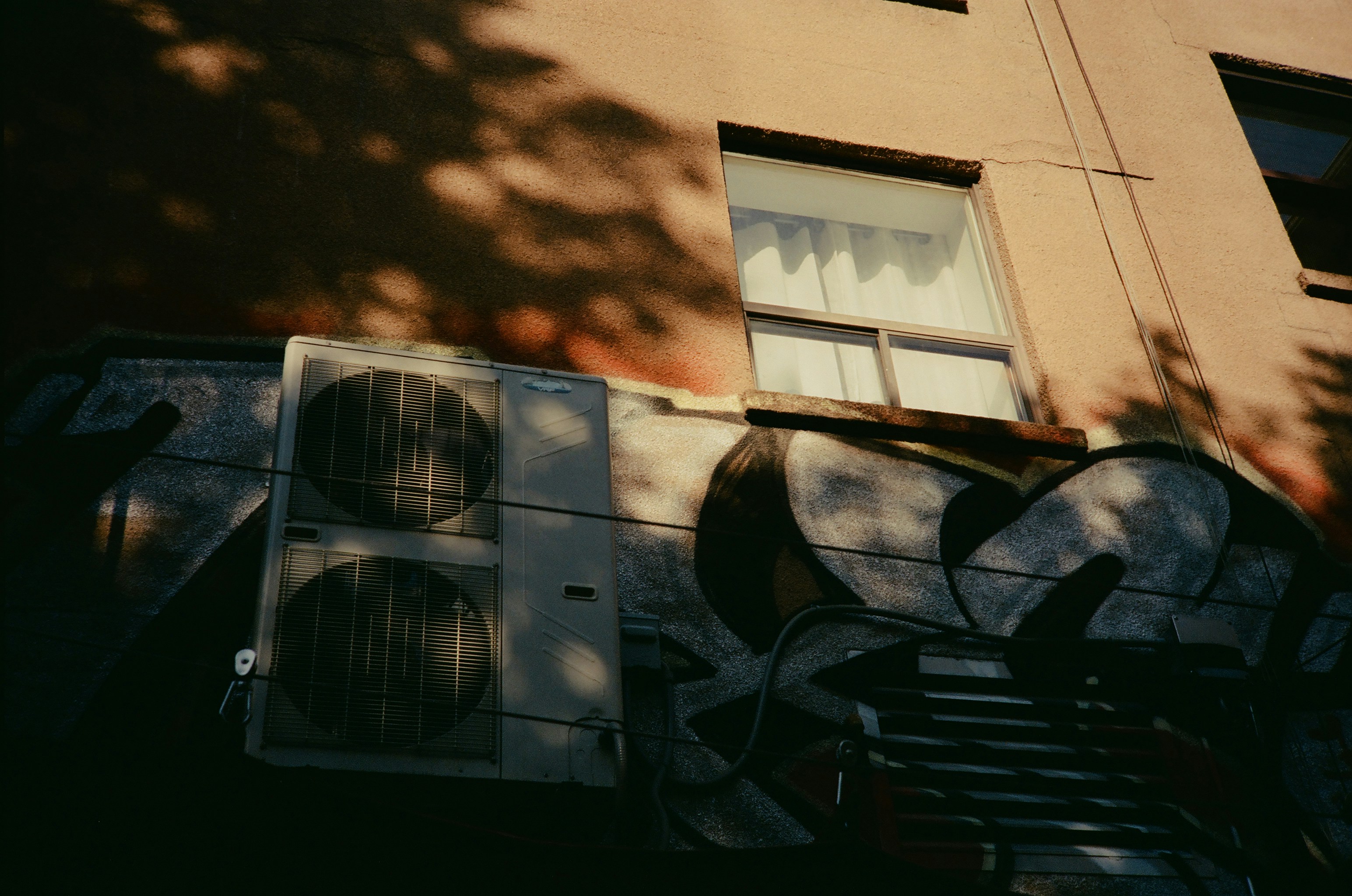 Image de Top 10 titres afro-house pour dynamiser votre soirée d’entreprise à Paris