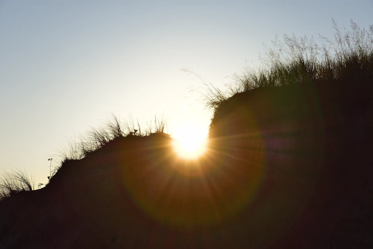 Oval Beach dunes at sundown. Shift change.