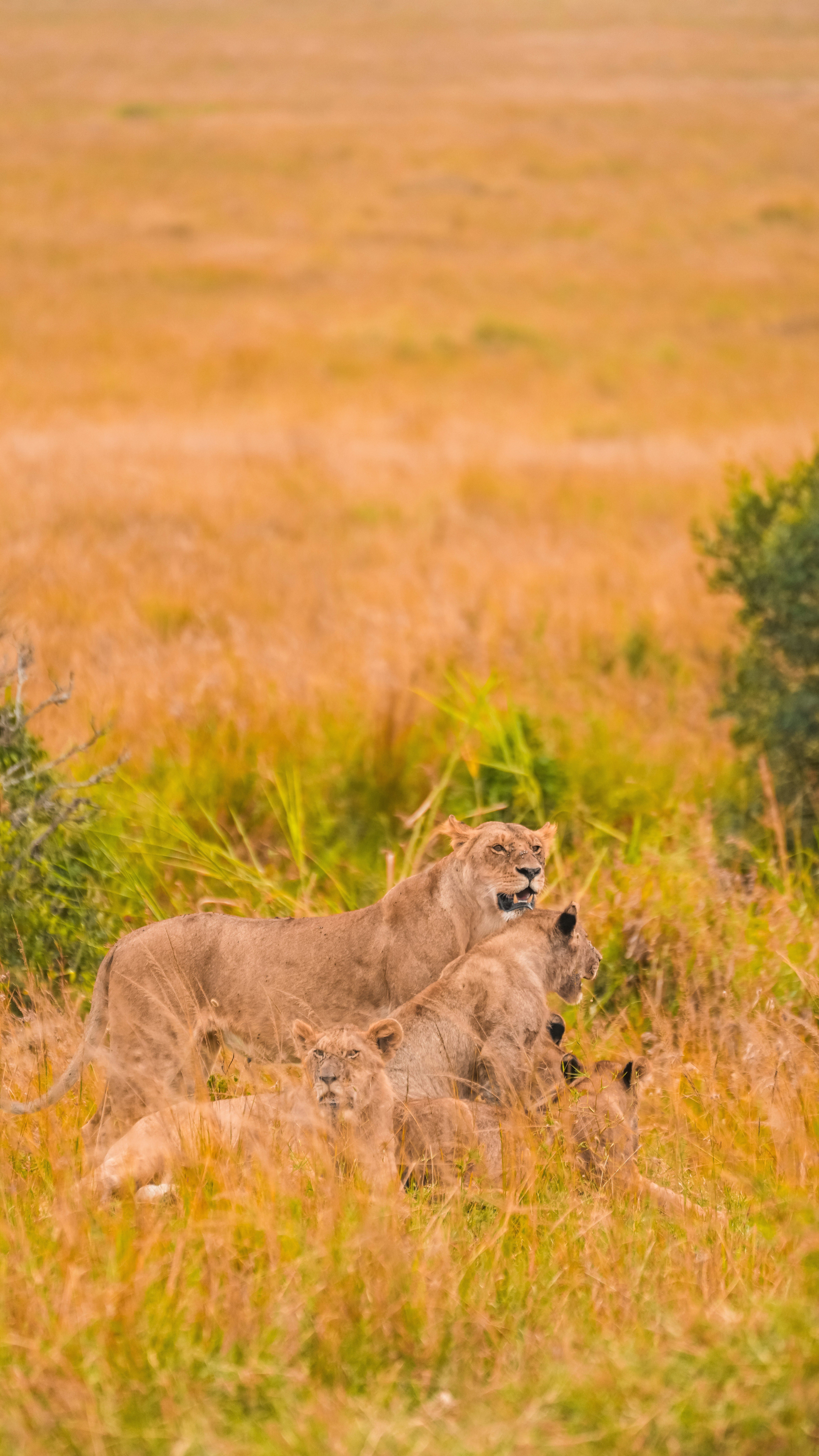 Photo by alexningphotography