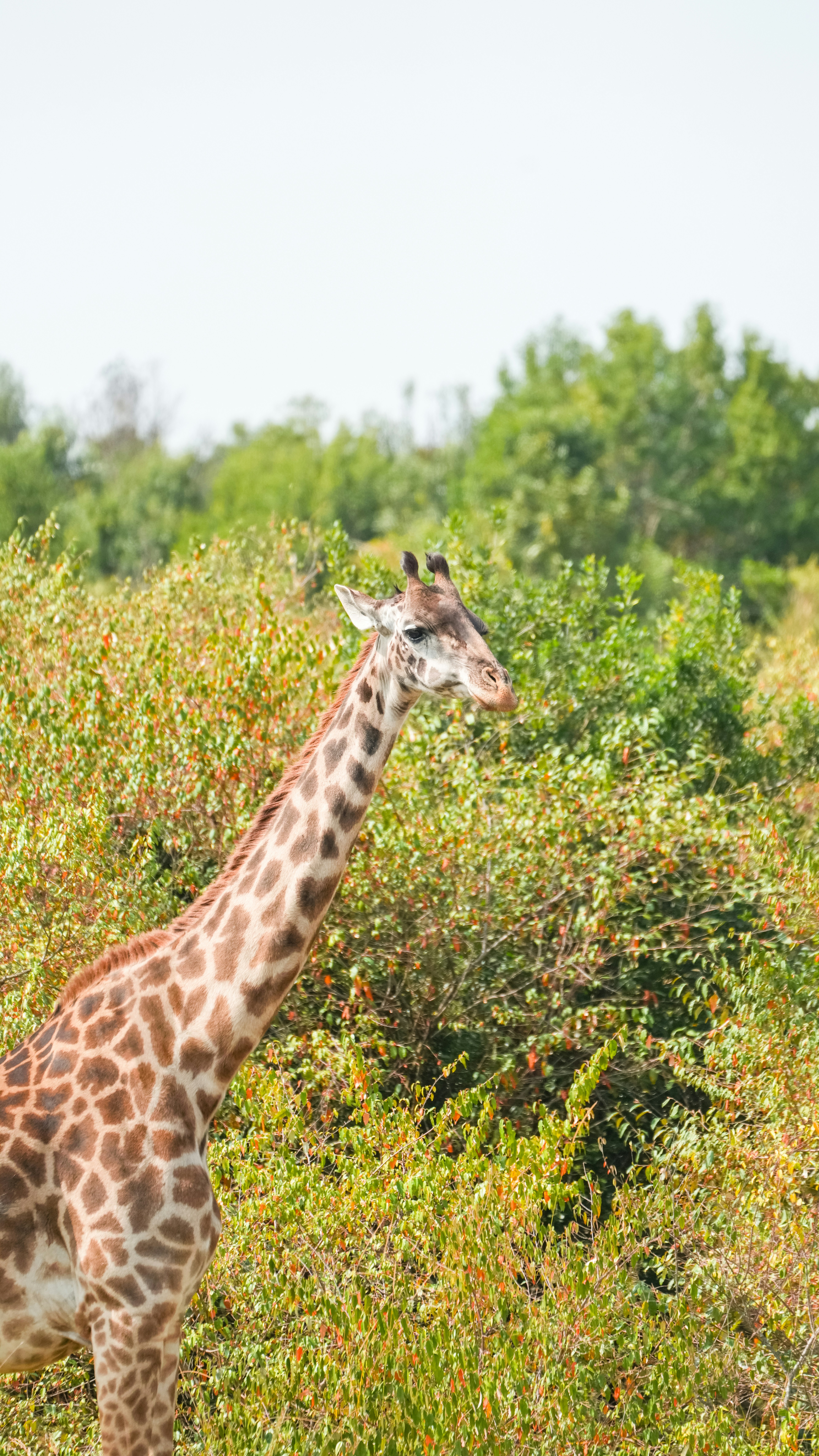 Photo by alexningphotography