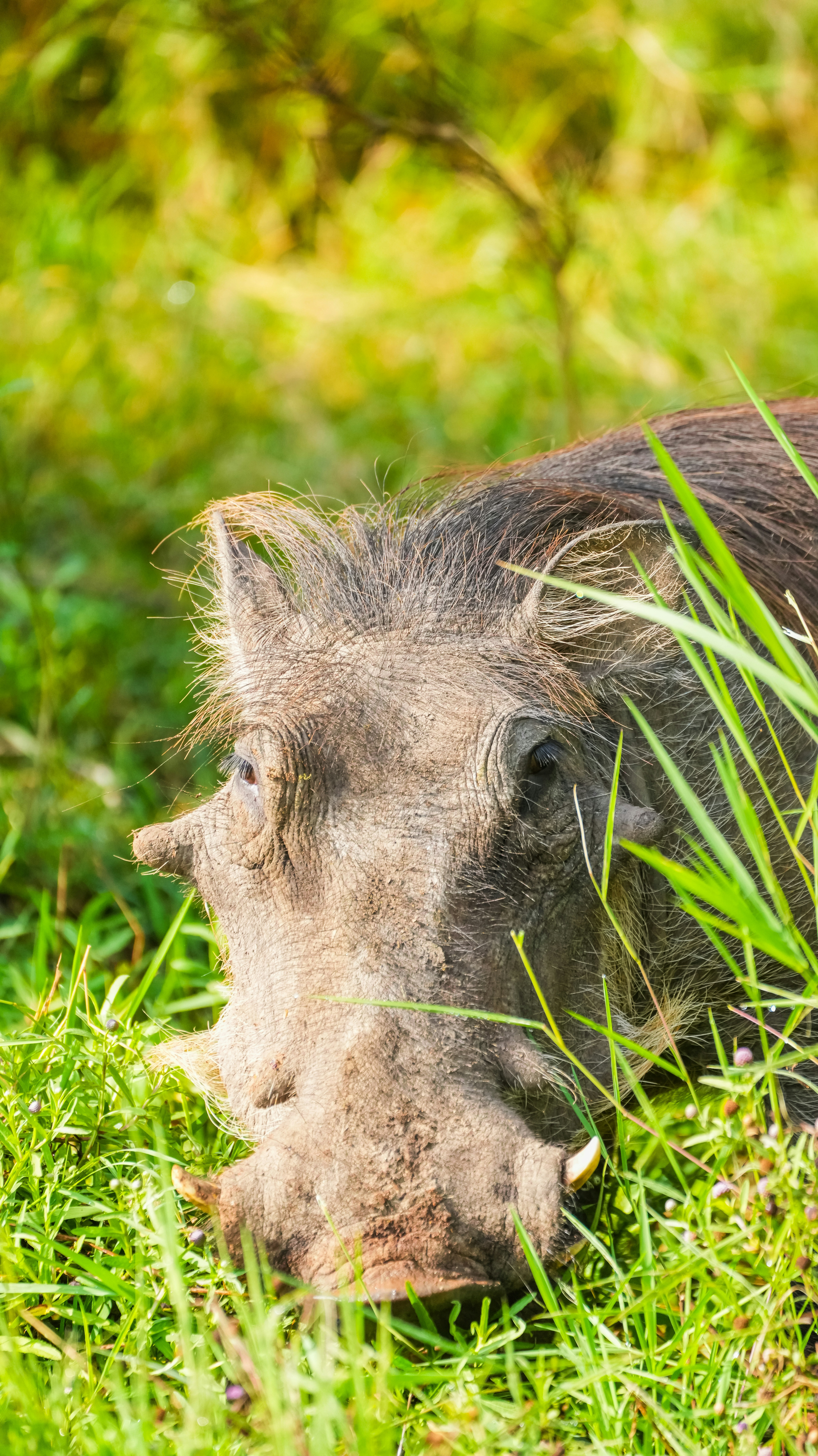 Photo by alexningphotography