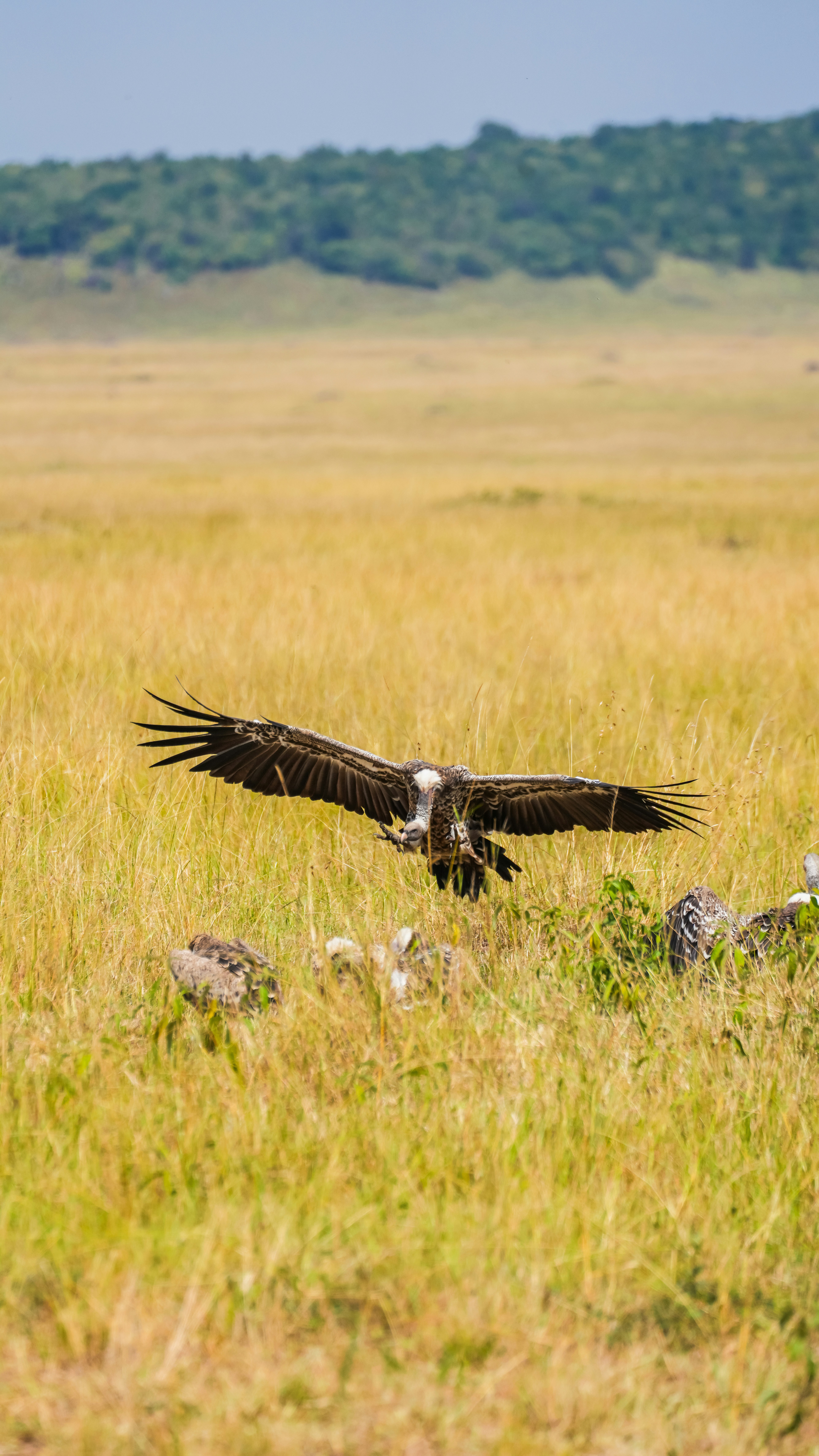 Photo by alexningphotography