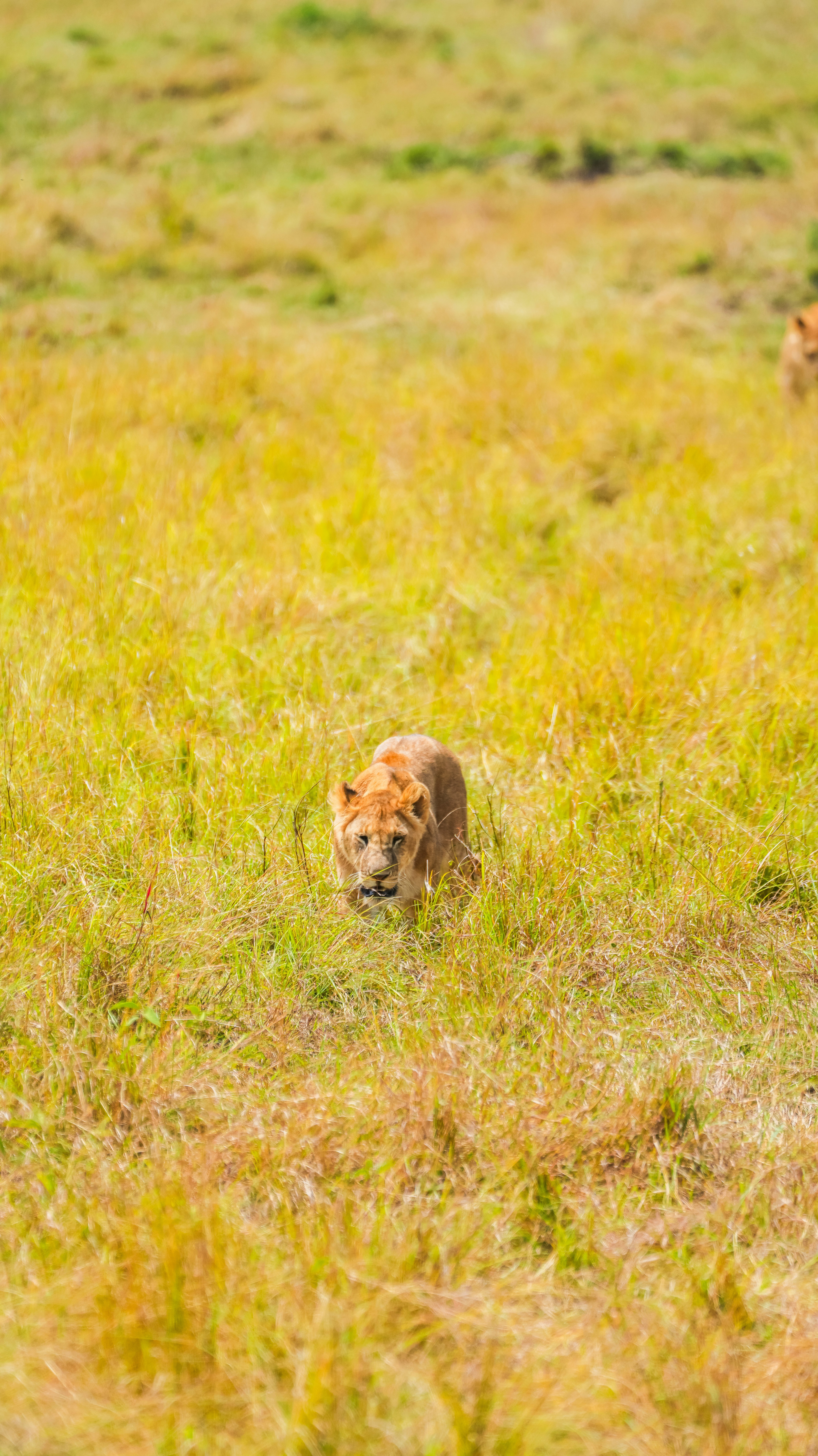 Photo by alexningphotography