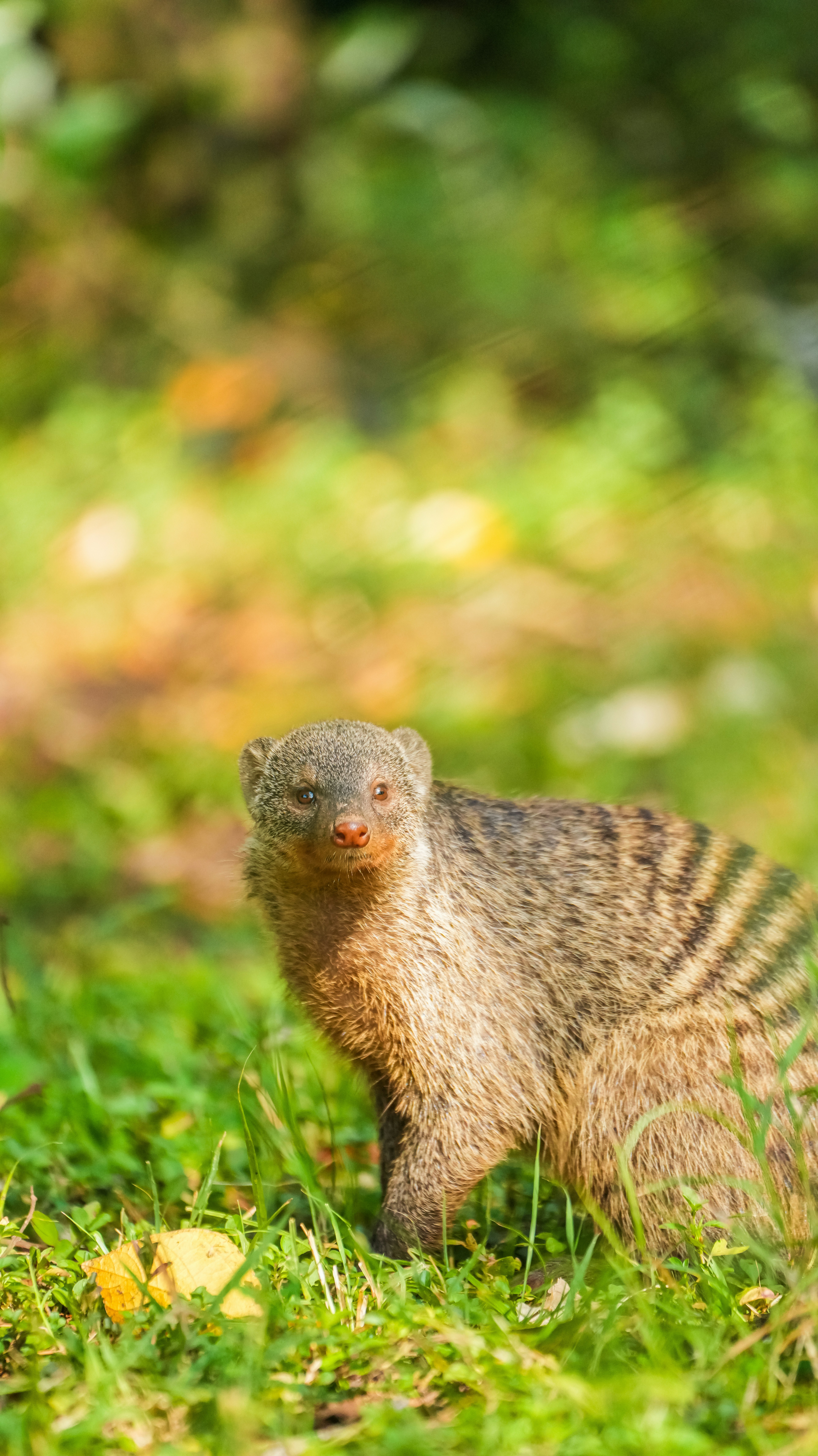 Photo by alexningphotography