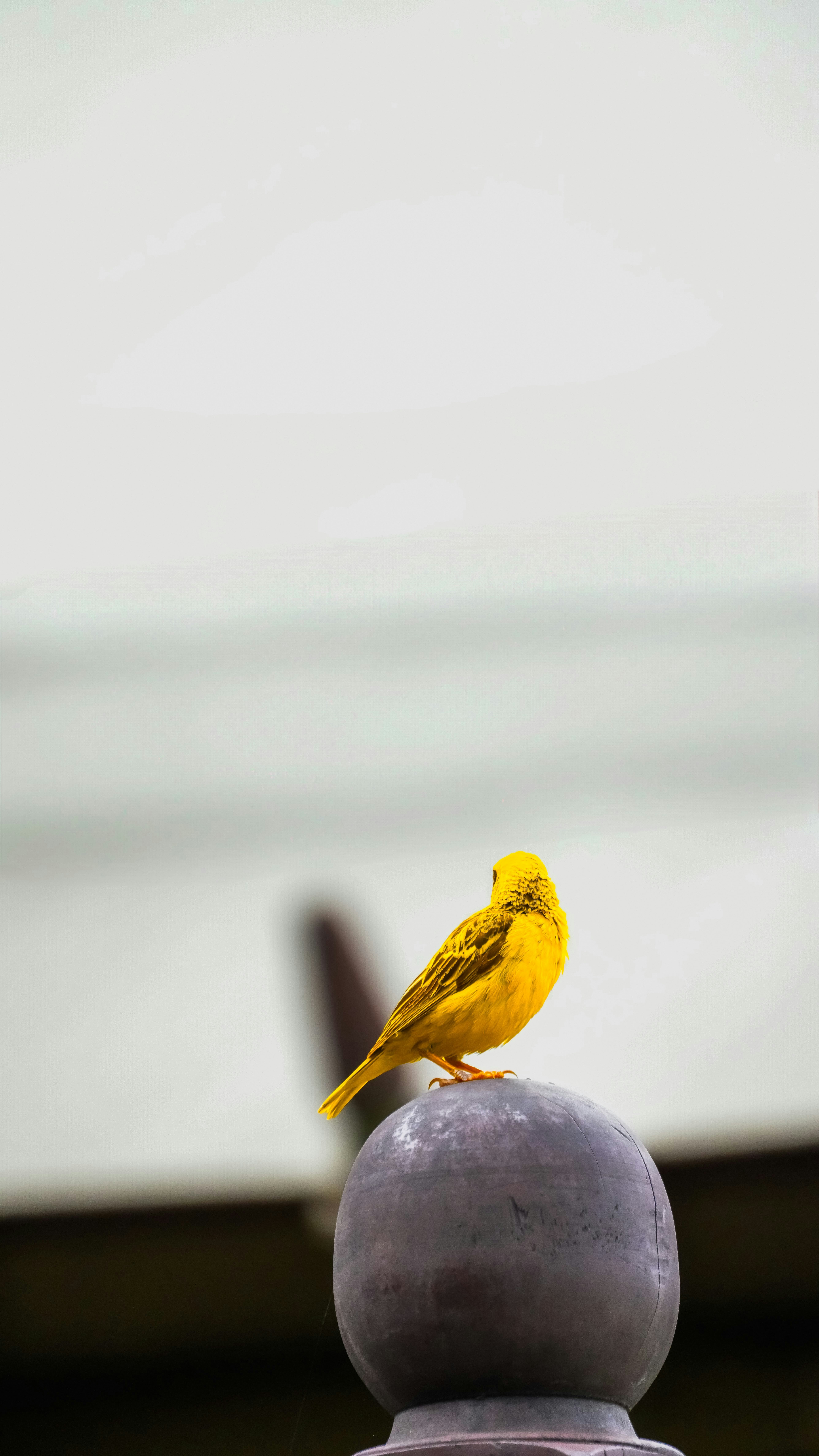 Photo by alexningphotography