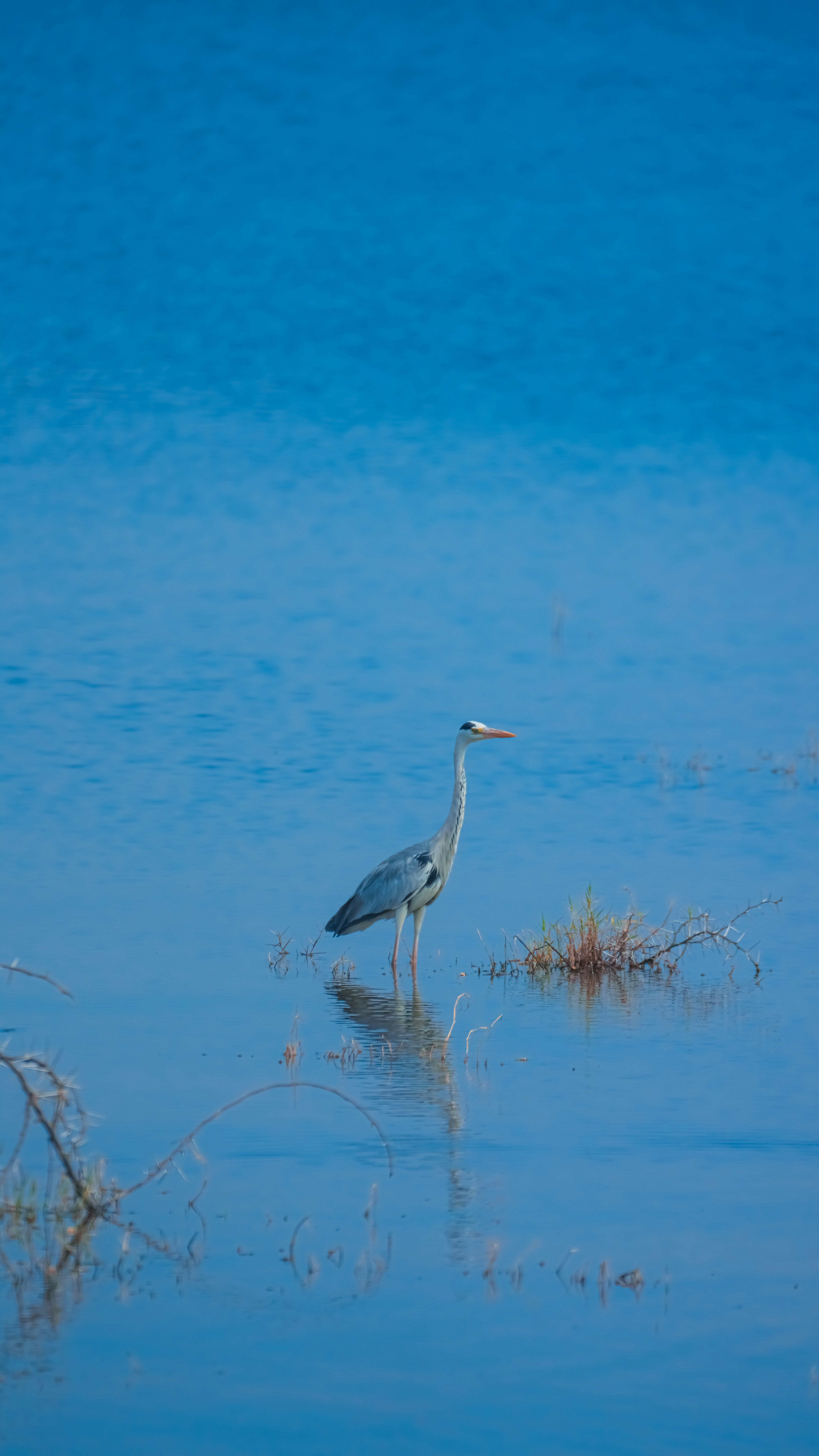 Photo by alexningphotography