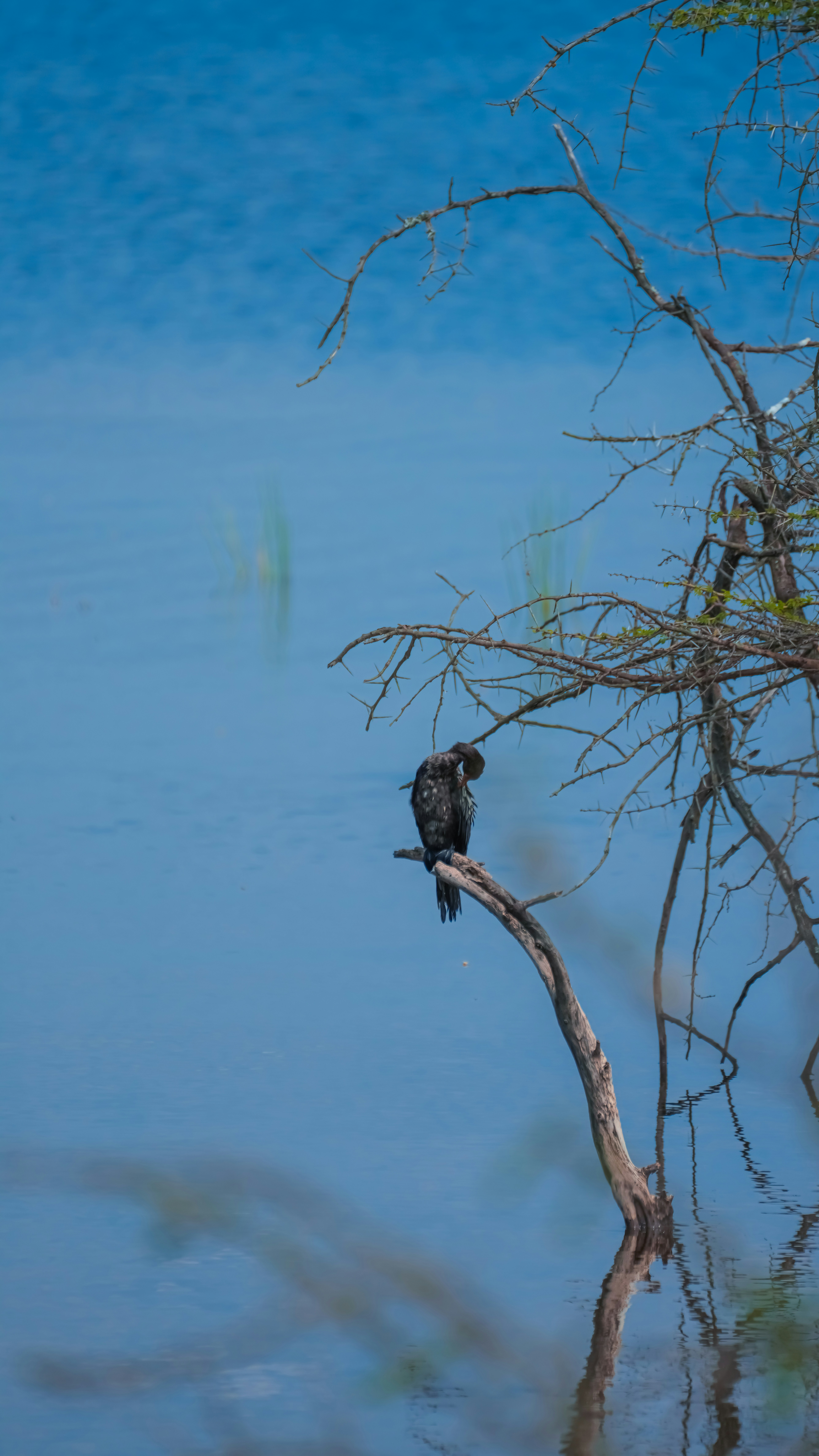 Photo by alexningphotography