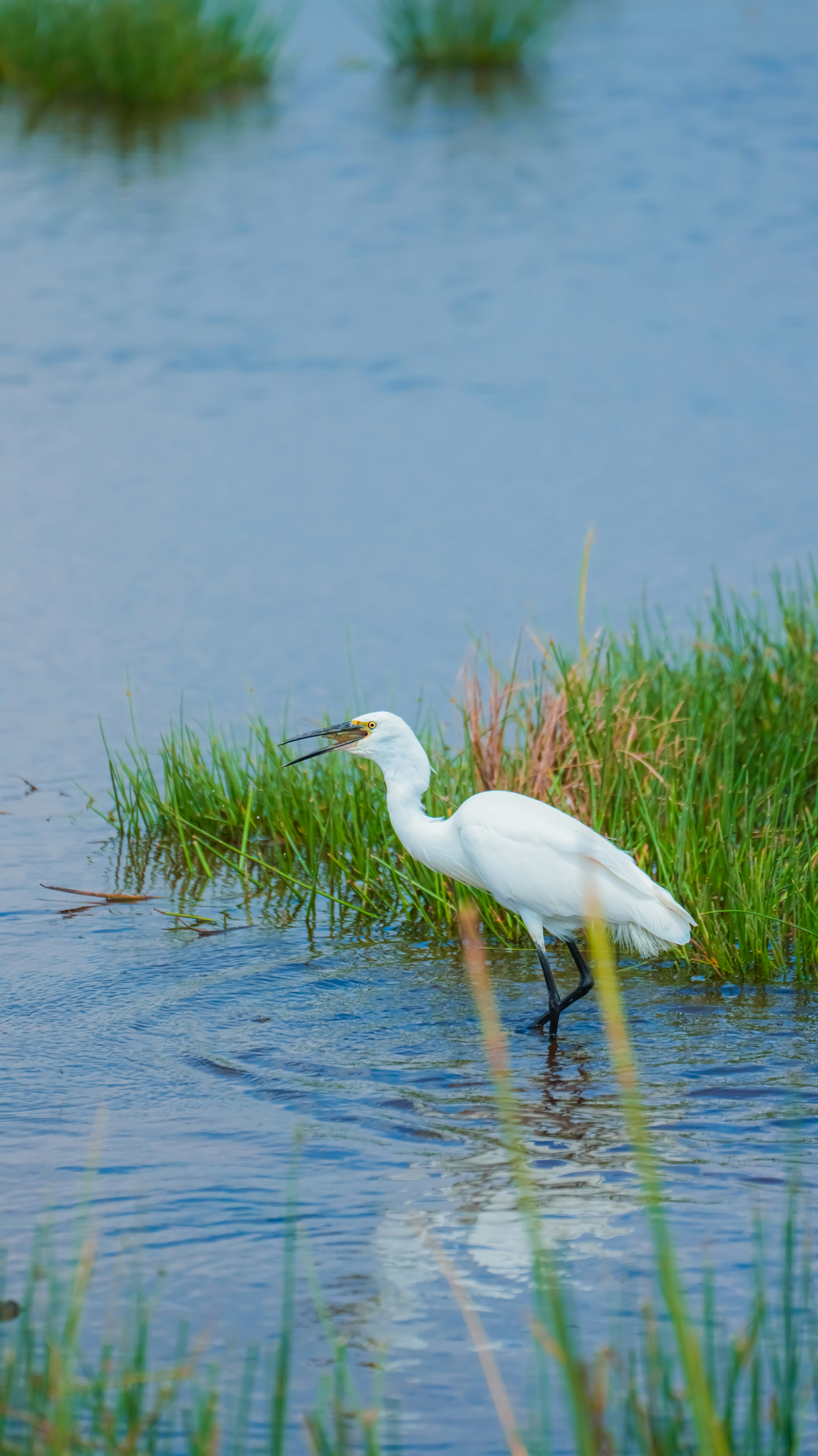 Photo by alexningphotography