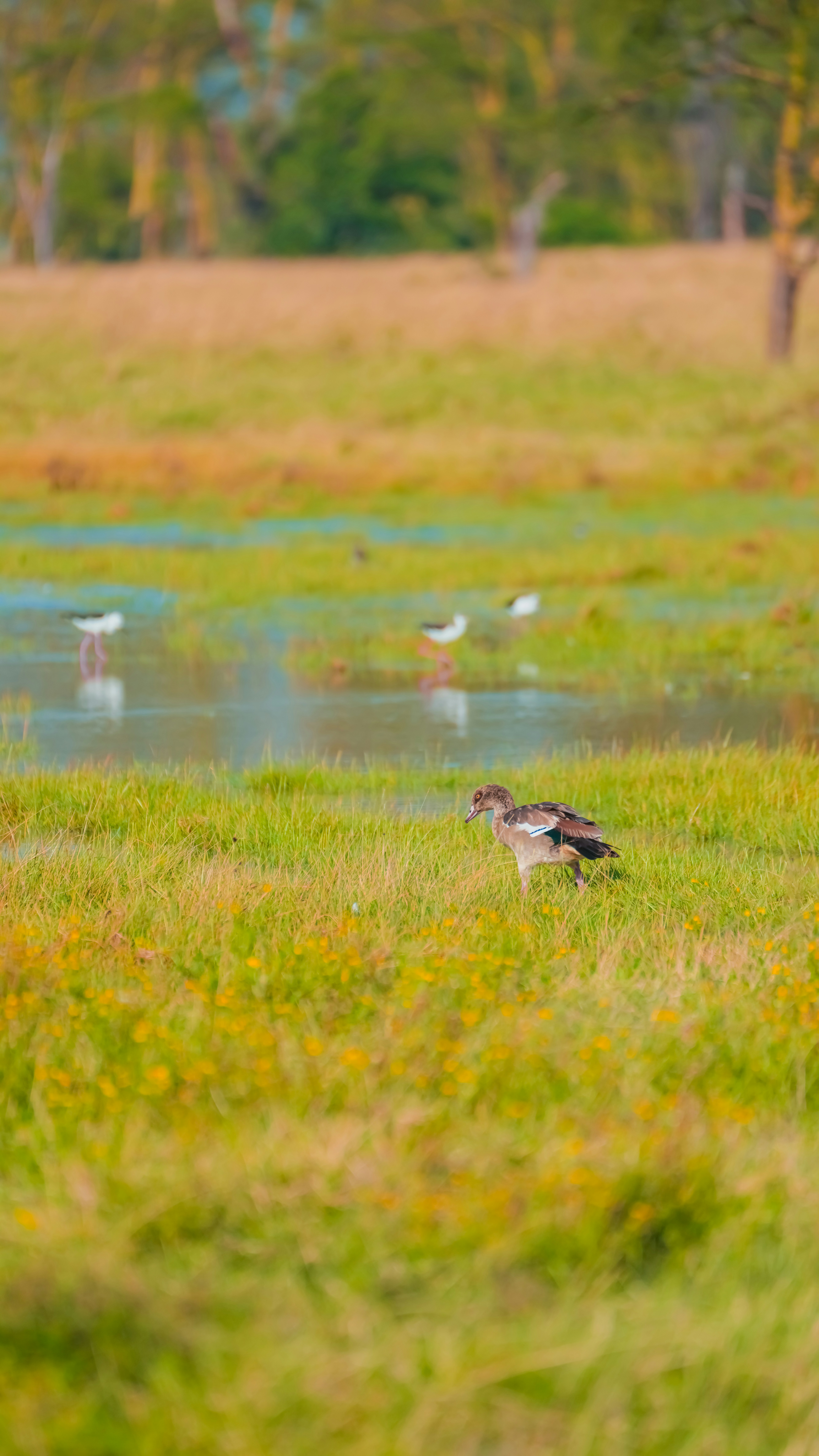 Photo by alexningphotography