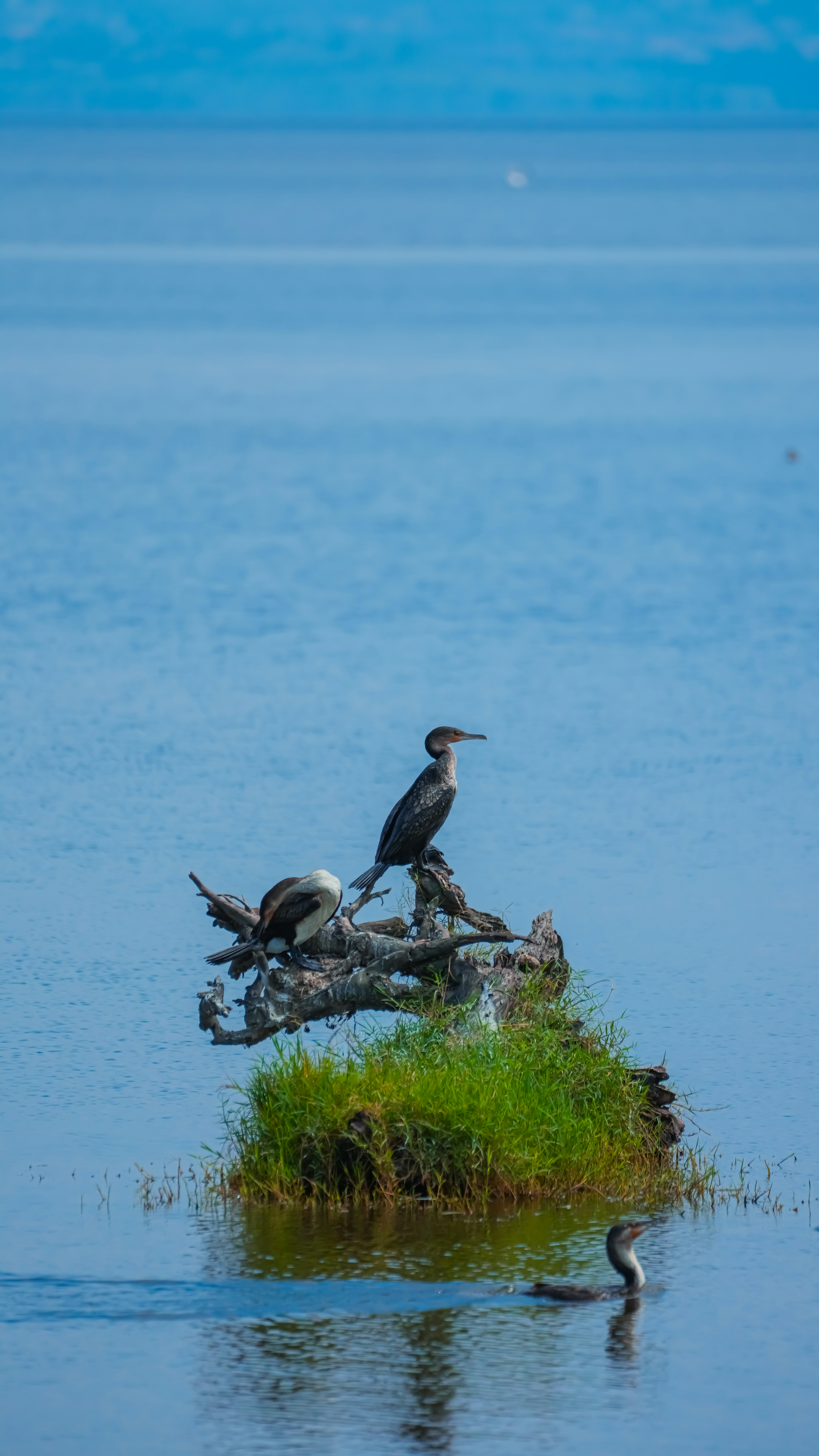 Photo by alexningphotography