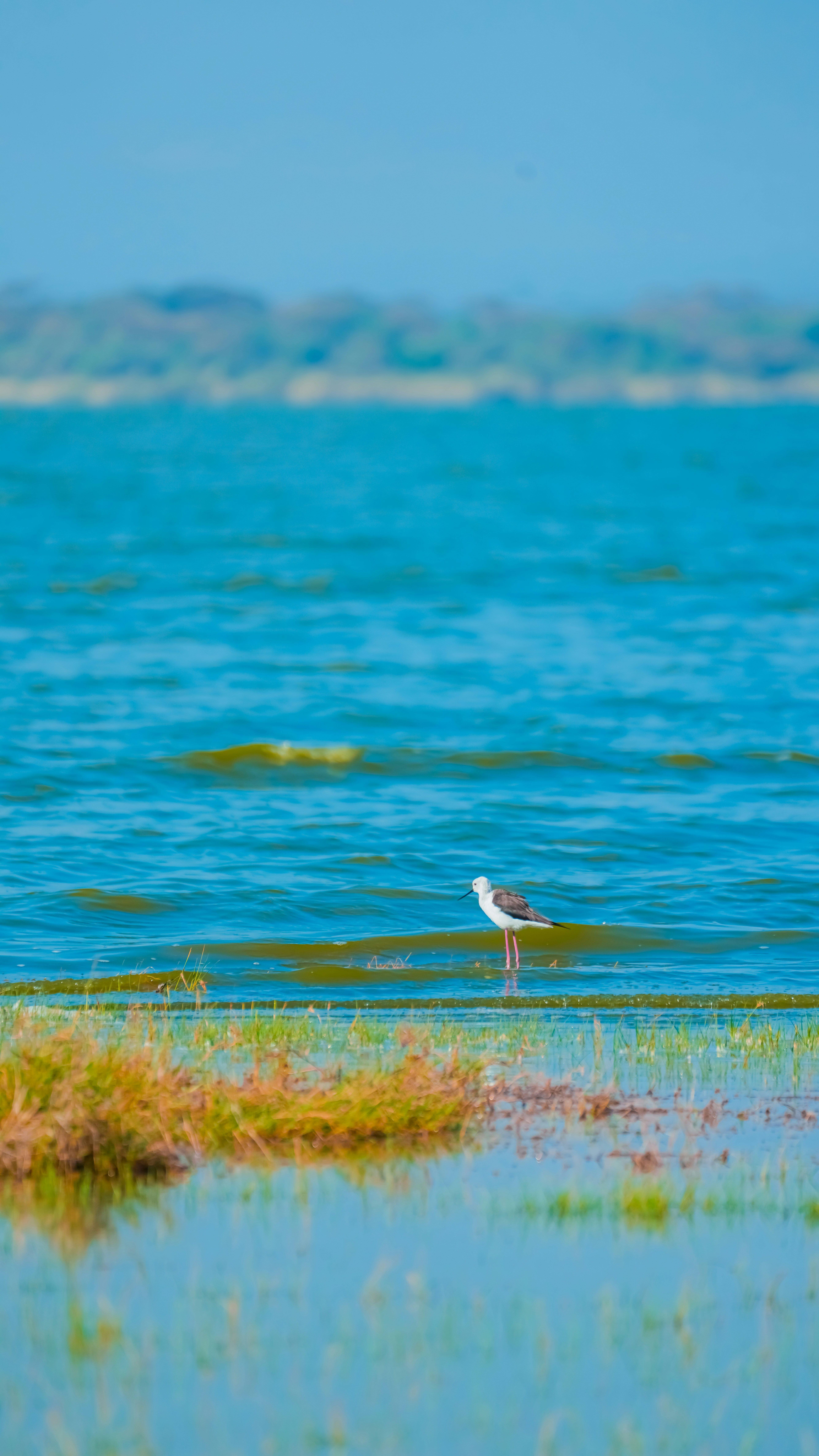 Photo by alexningphotography