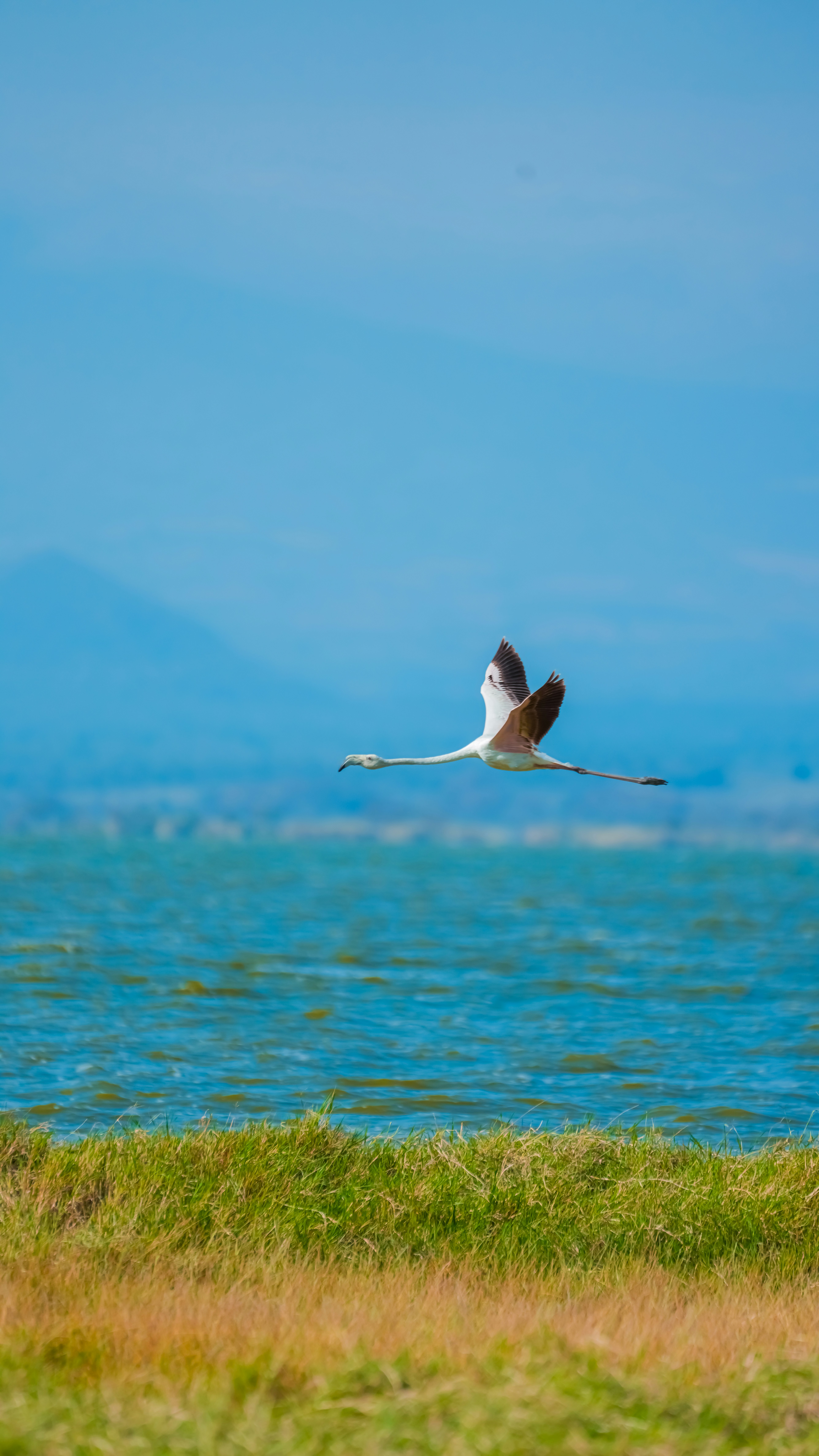 Photo by alexningphotography