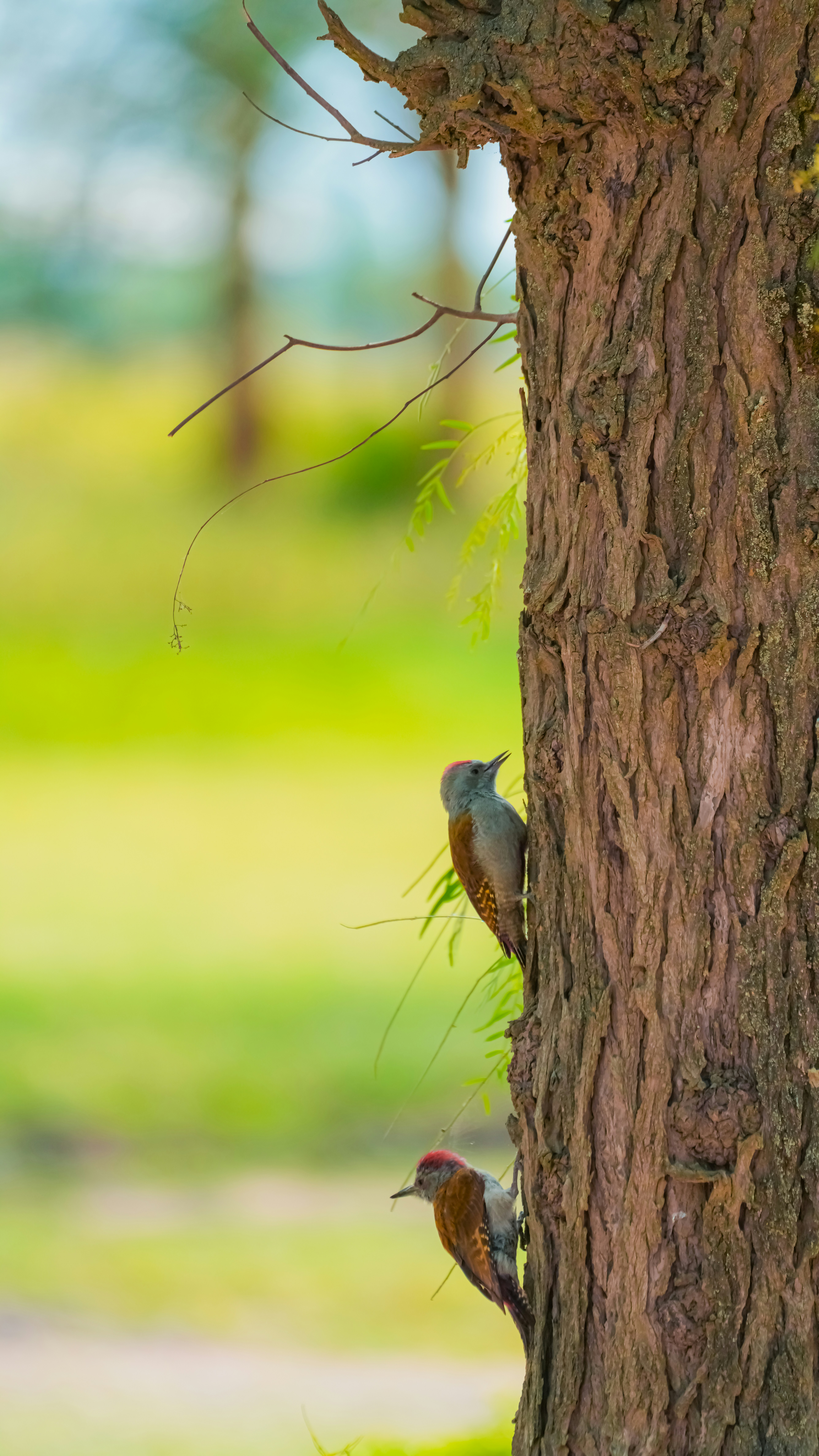 Photo by alexningphotography