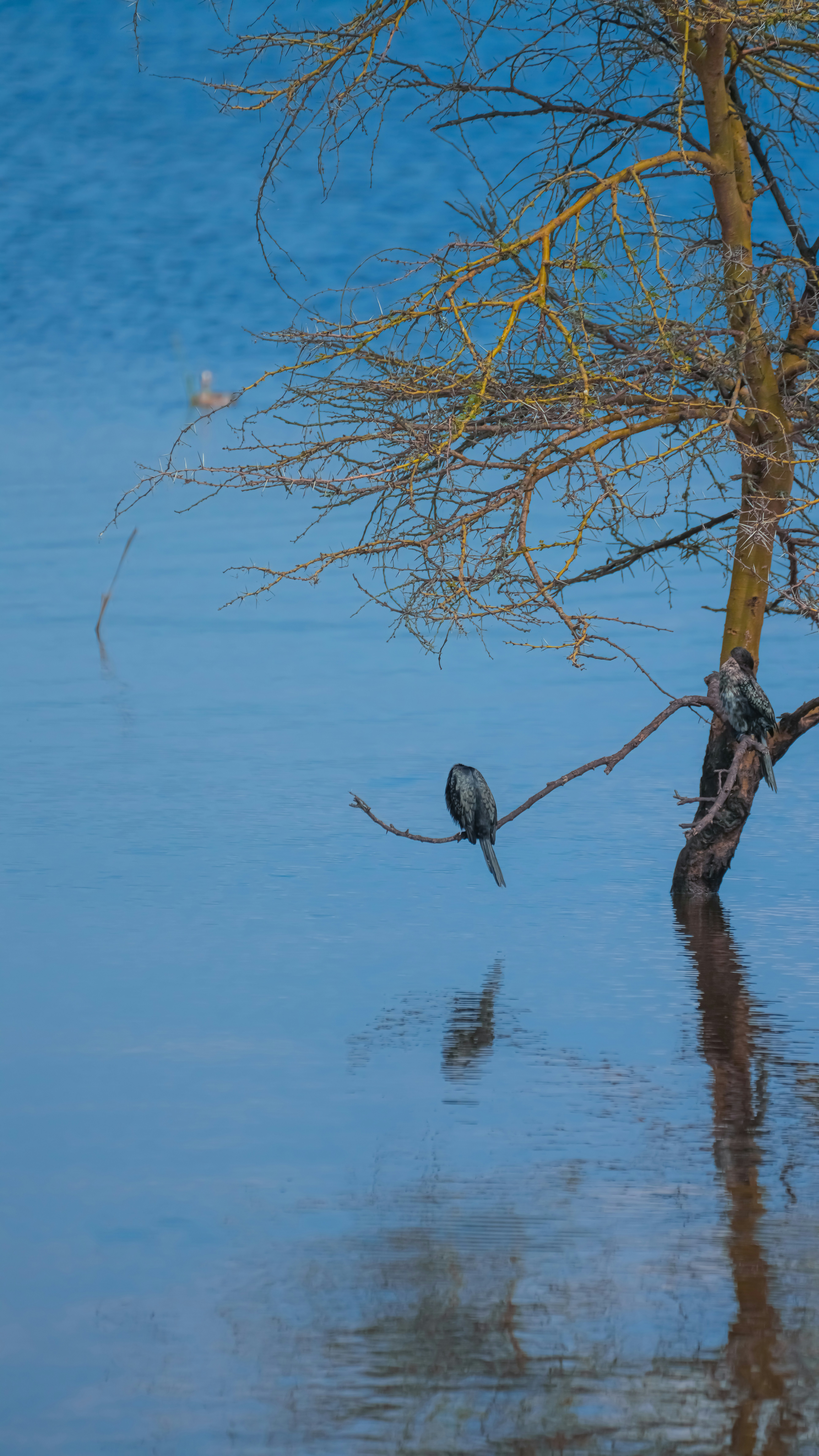 Photo by alexningphotography