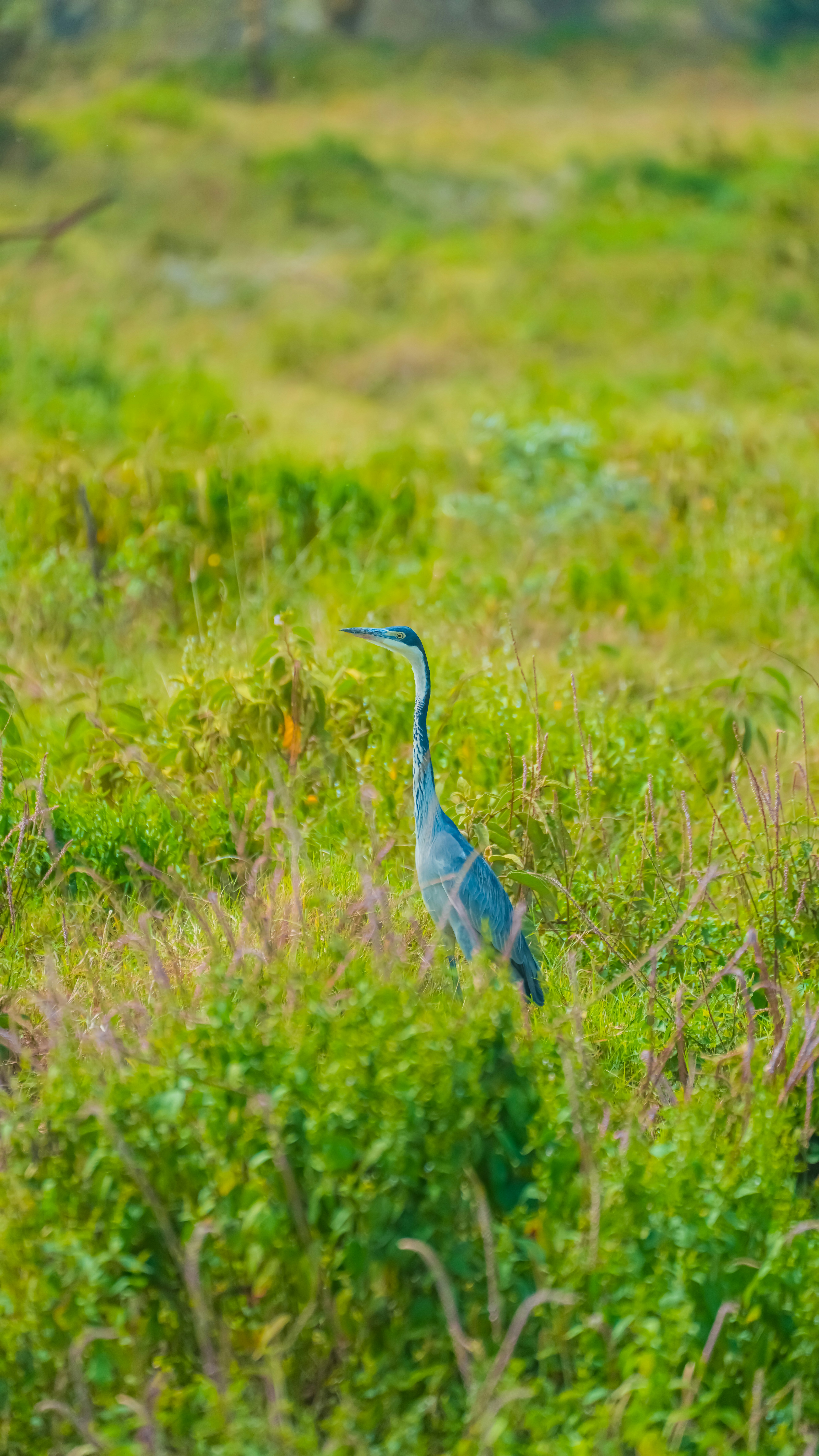 Photo by alexningphotography