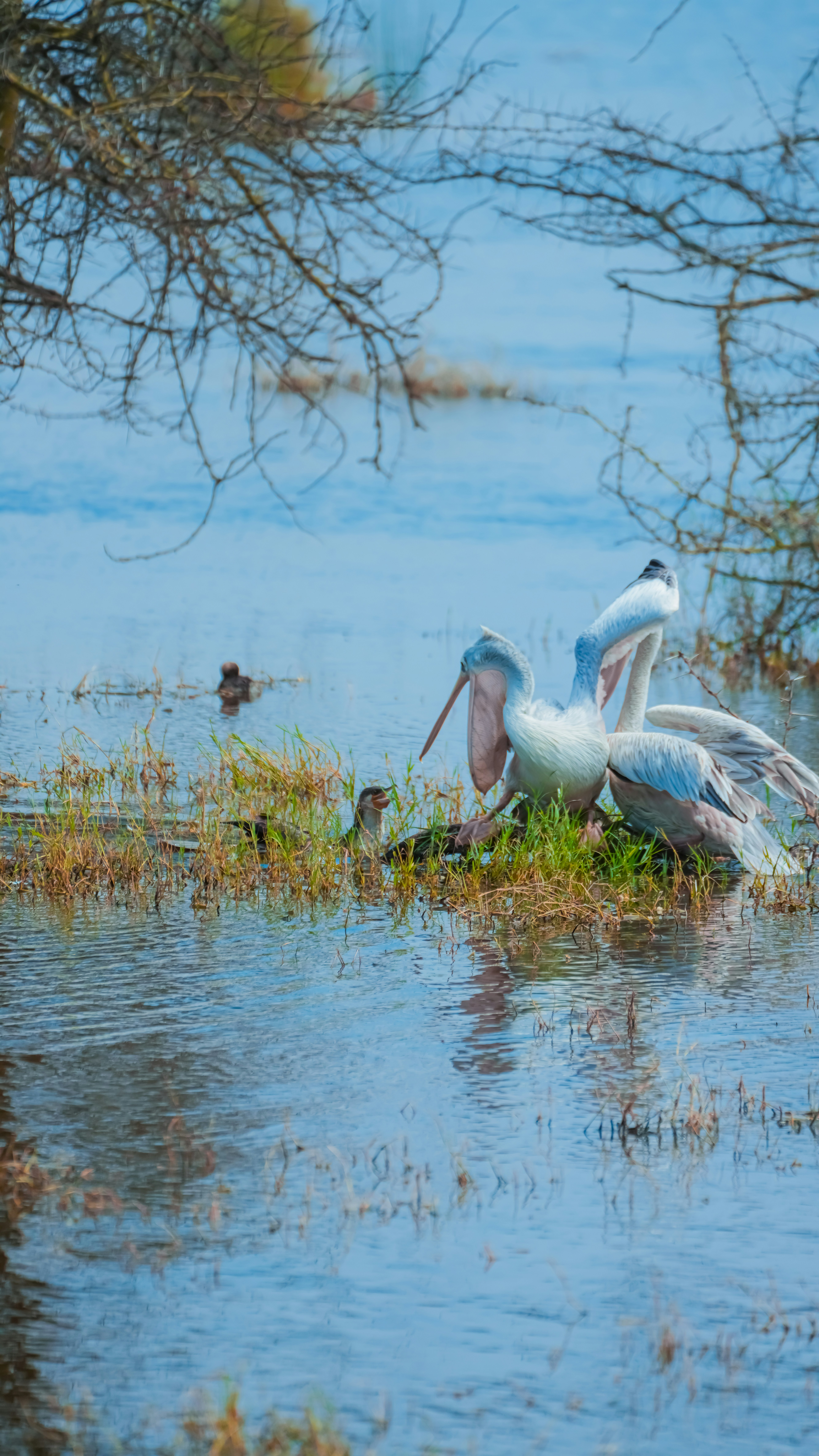 Photo by alexningphotography