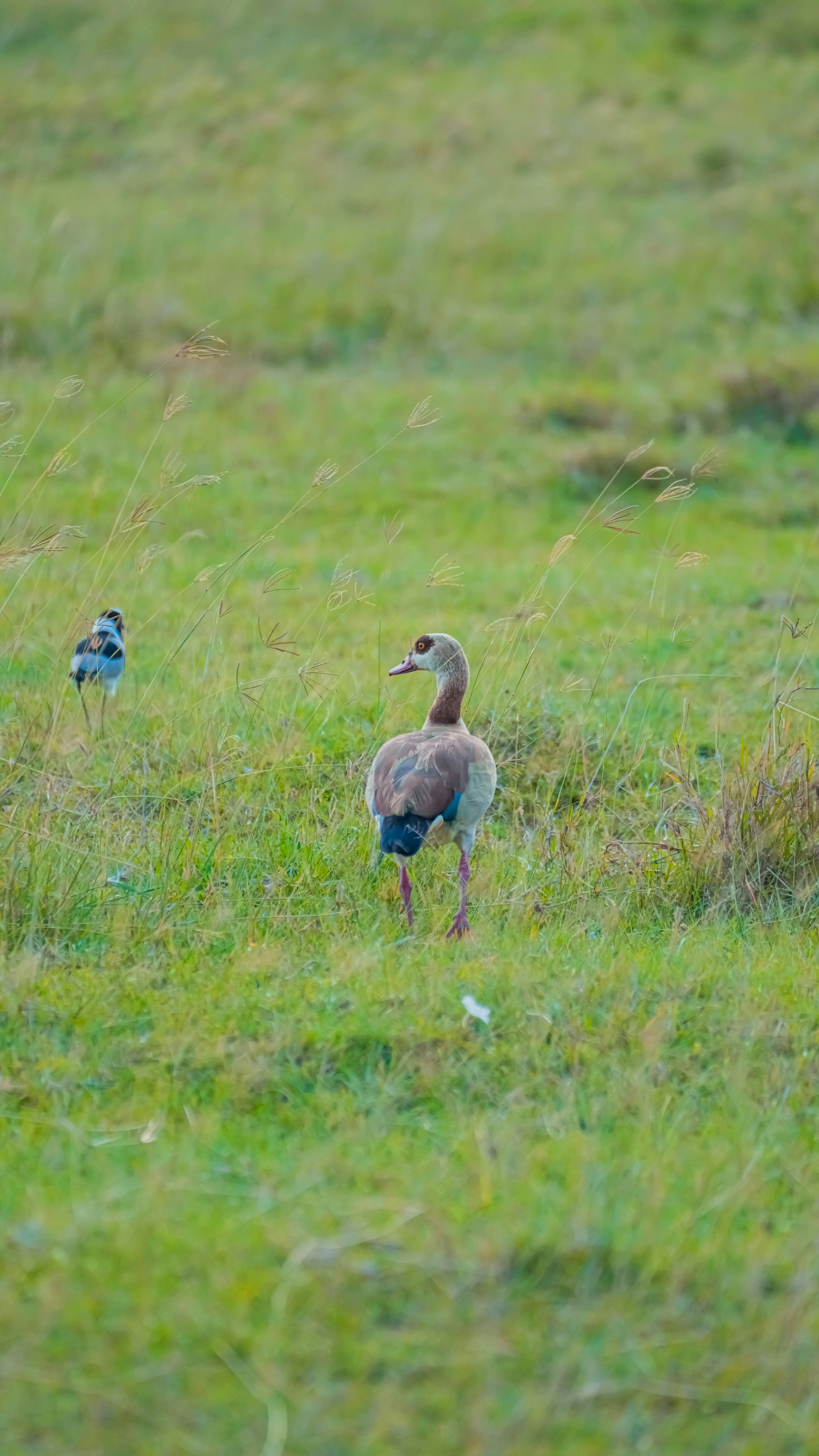 Photo by alexningphotography