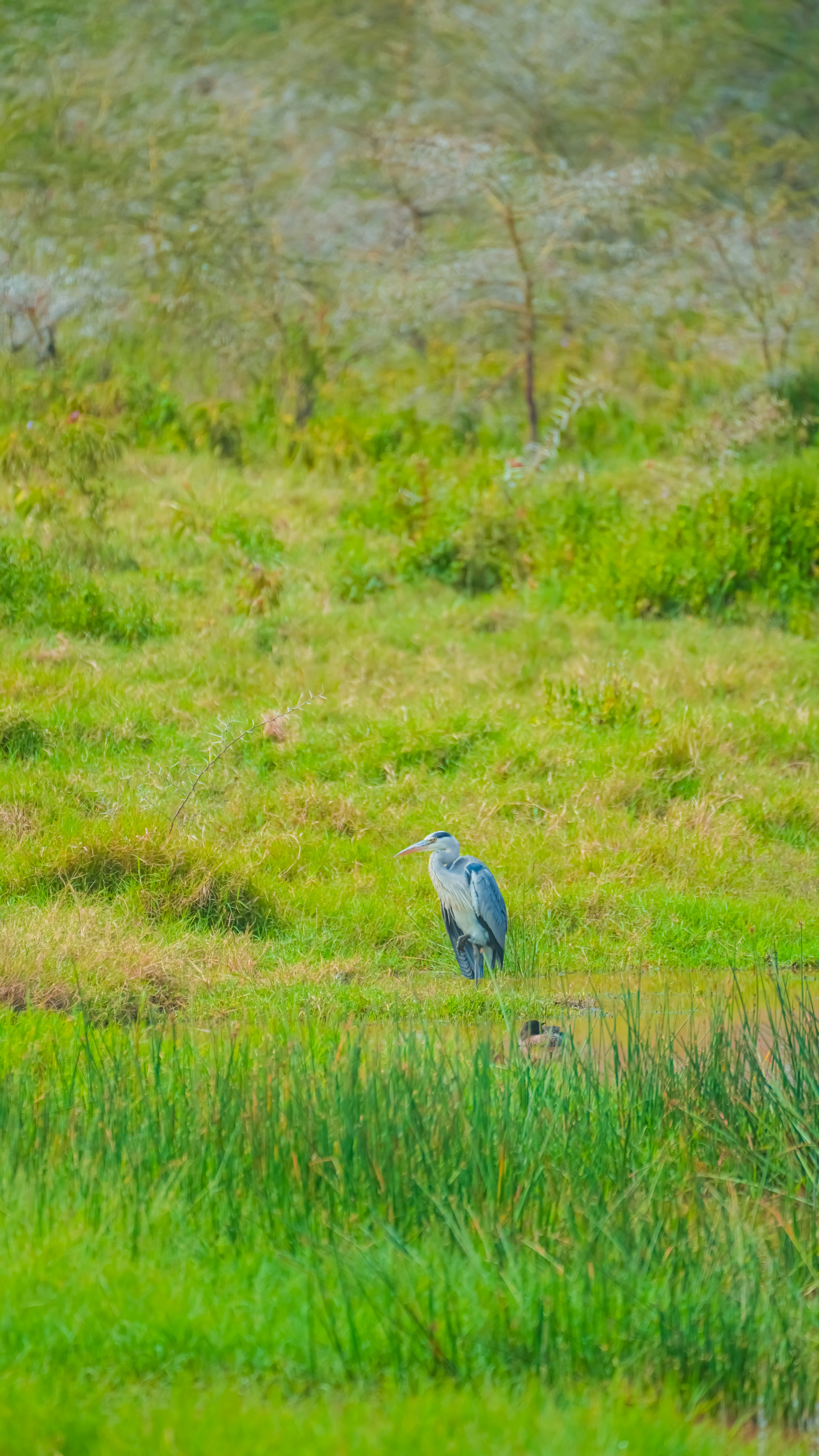 Photo by alexningphotography