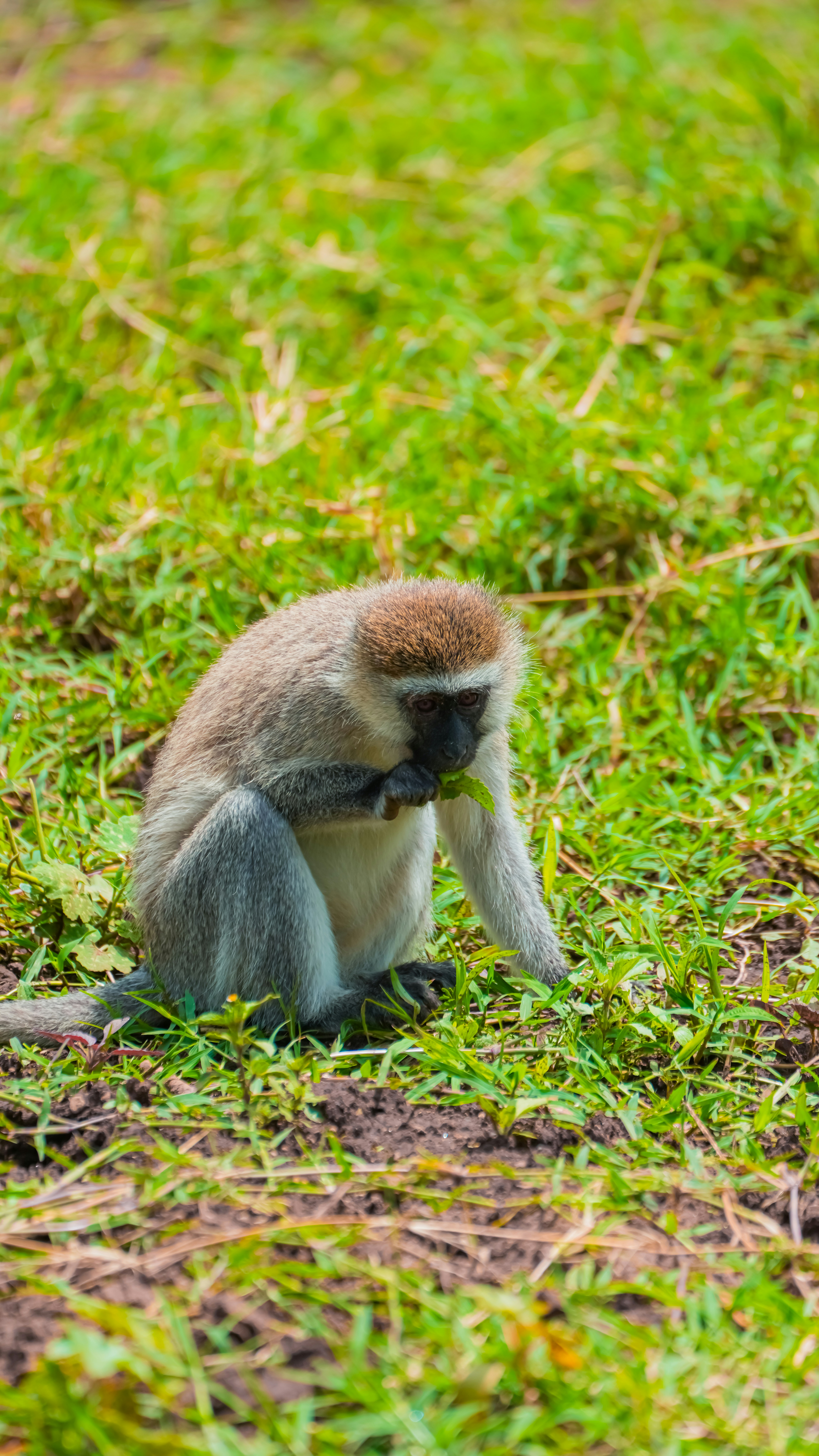 Photo by alexningphotography