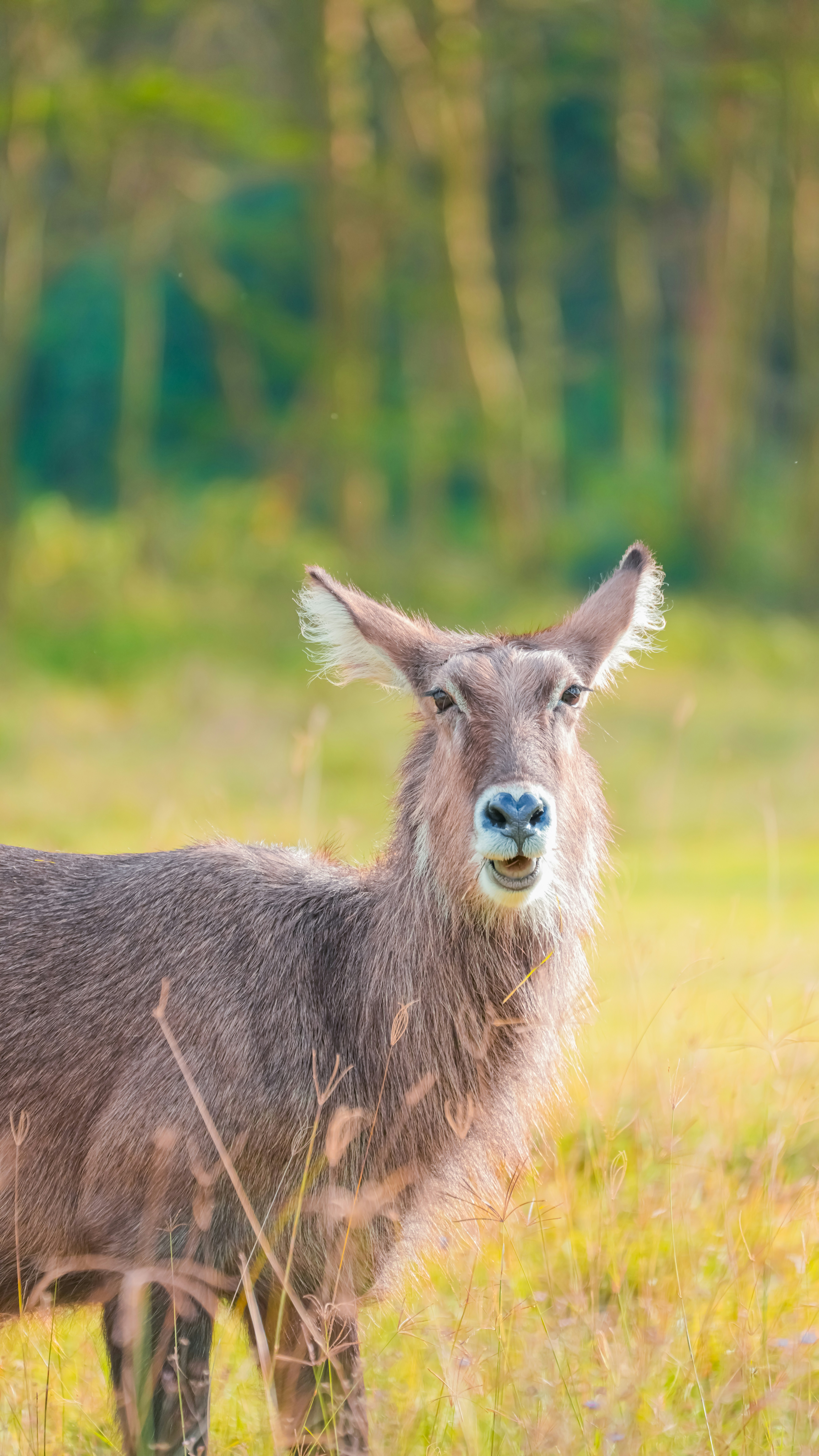 Photo by alexningphotography