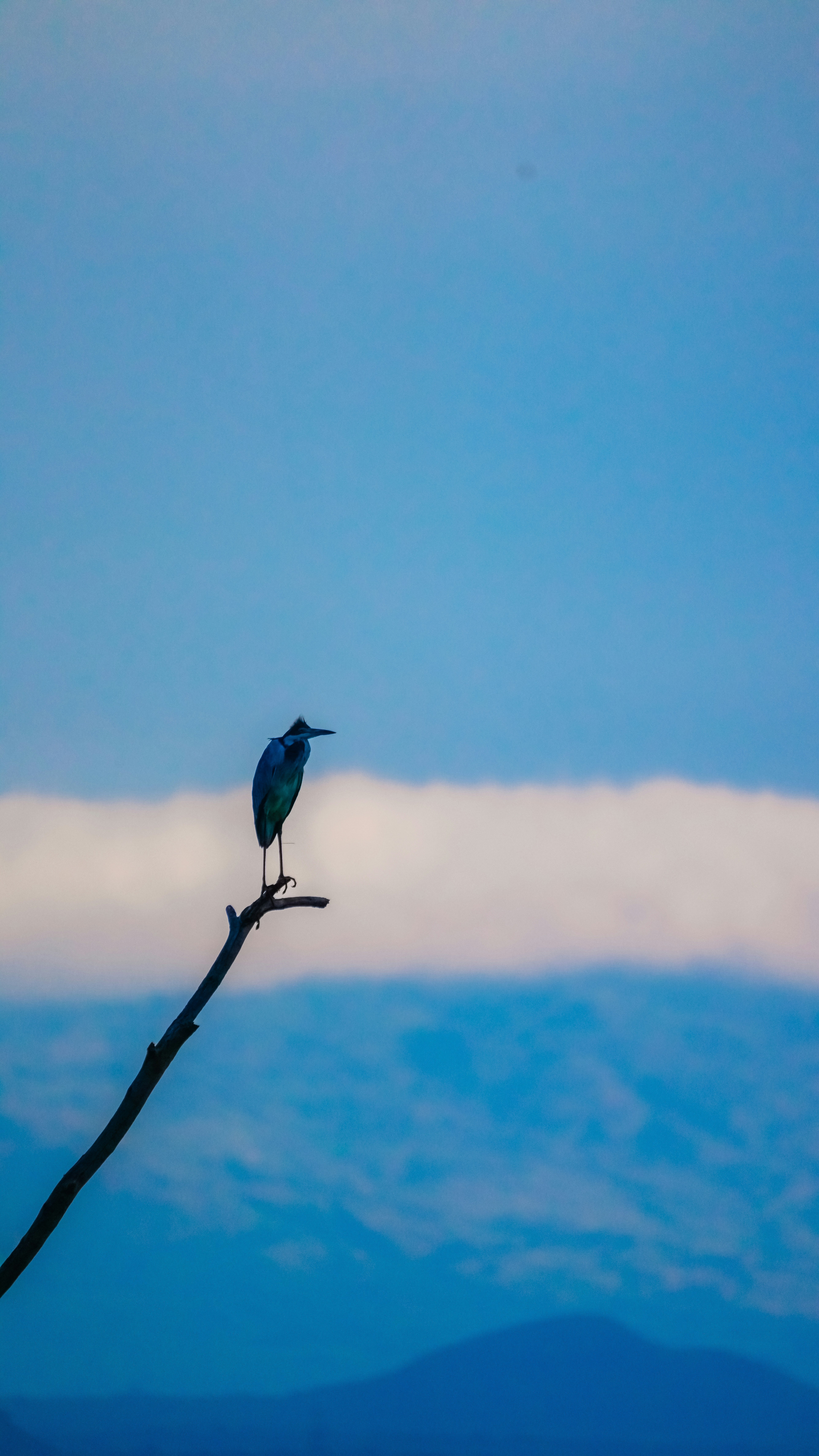 Photo by alexningphotography