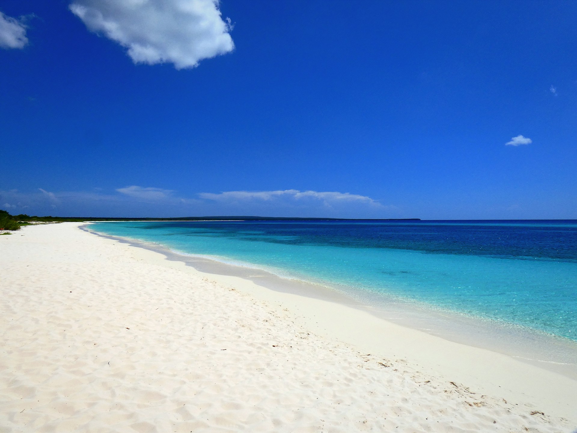 A pristine white sand beach meets turquoise ocean waters.
