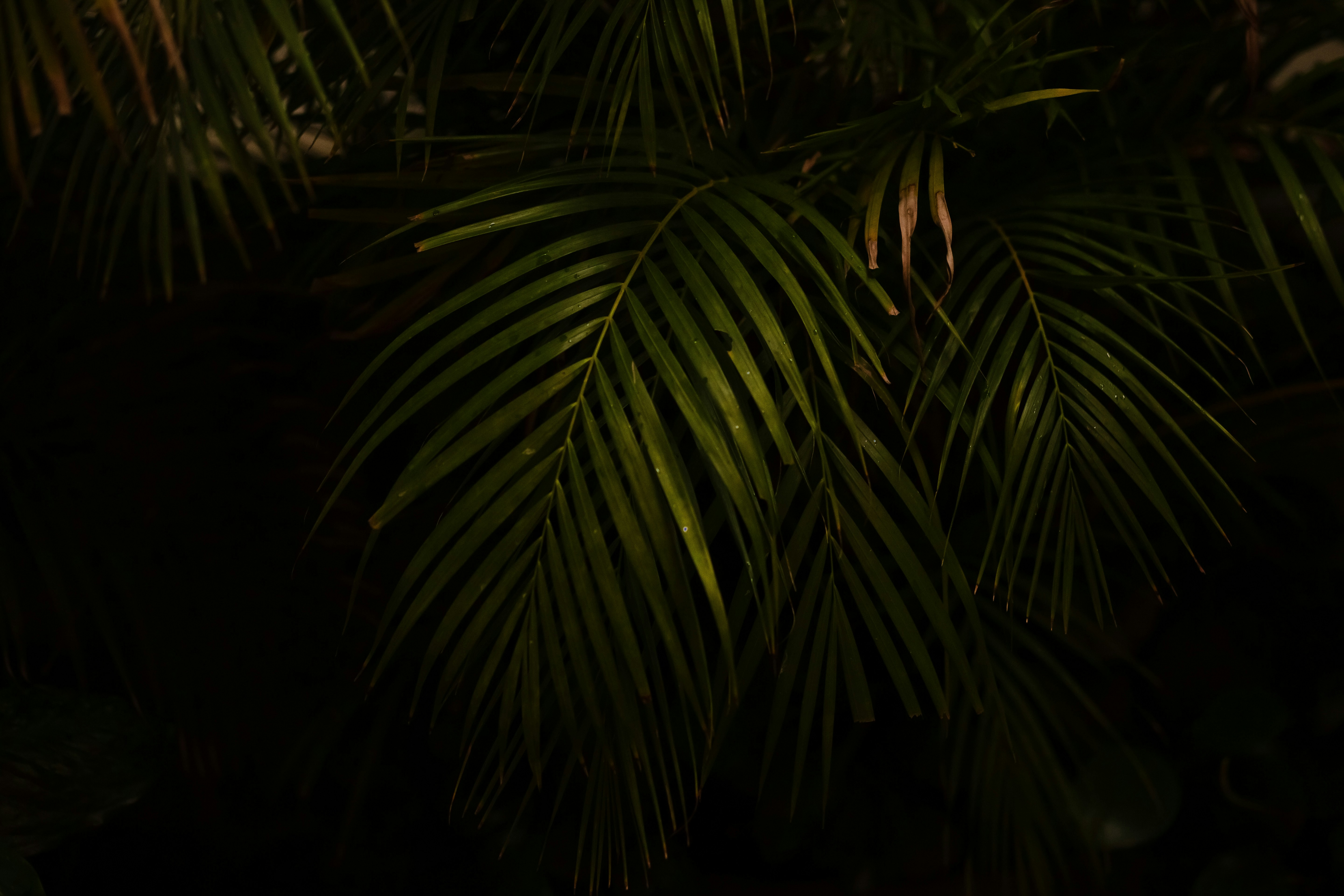 Photo by leonardodbi