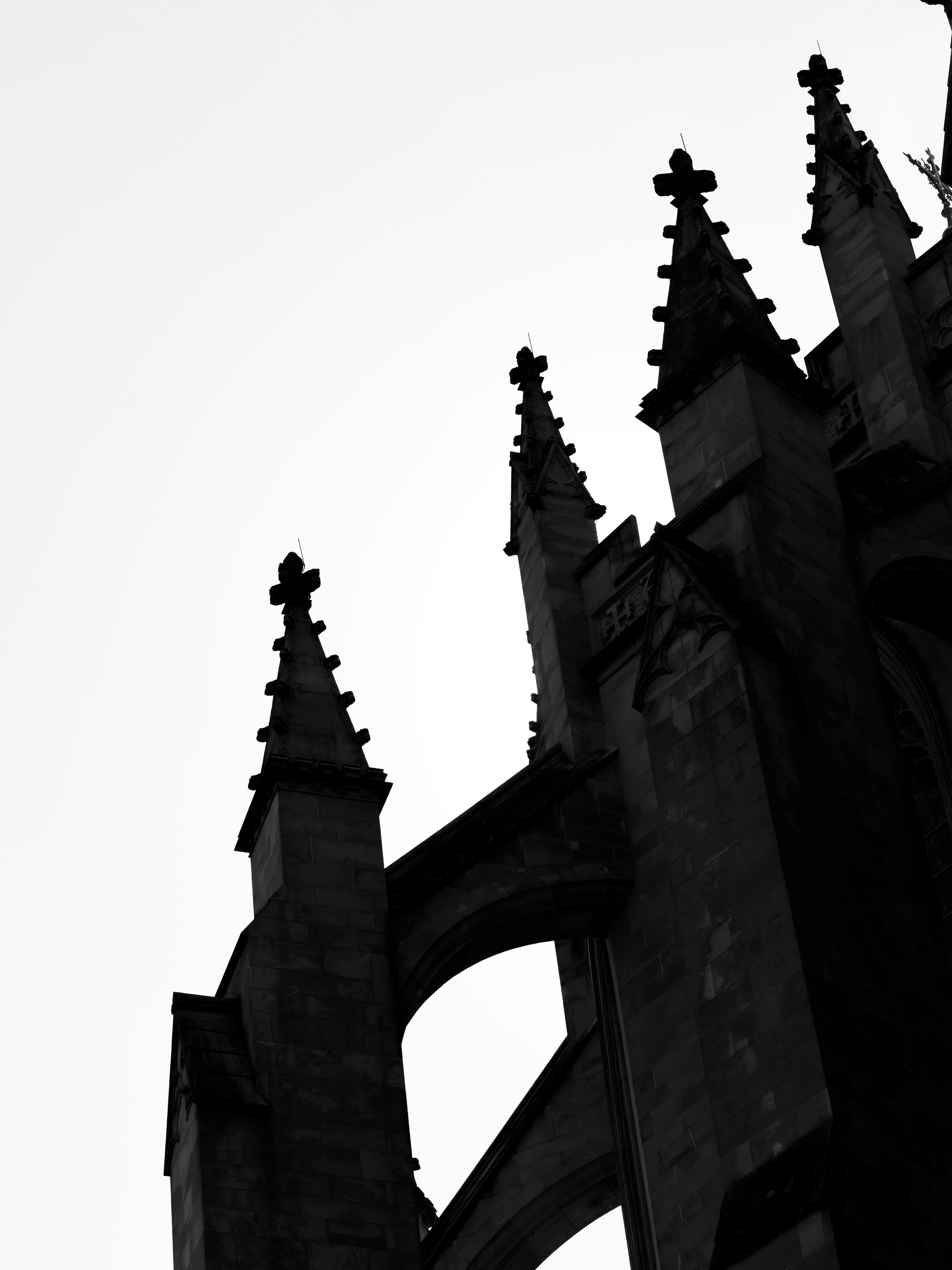 Photo by sschusterphotoart