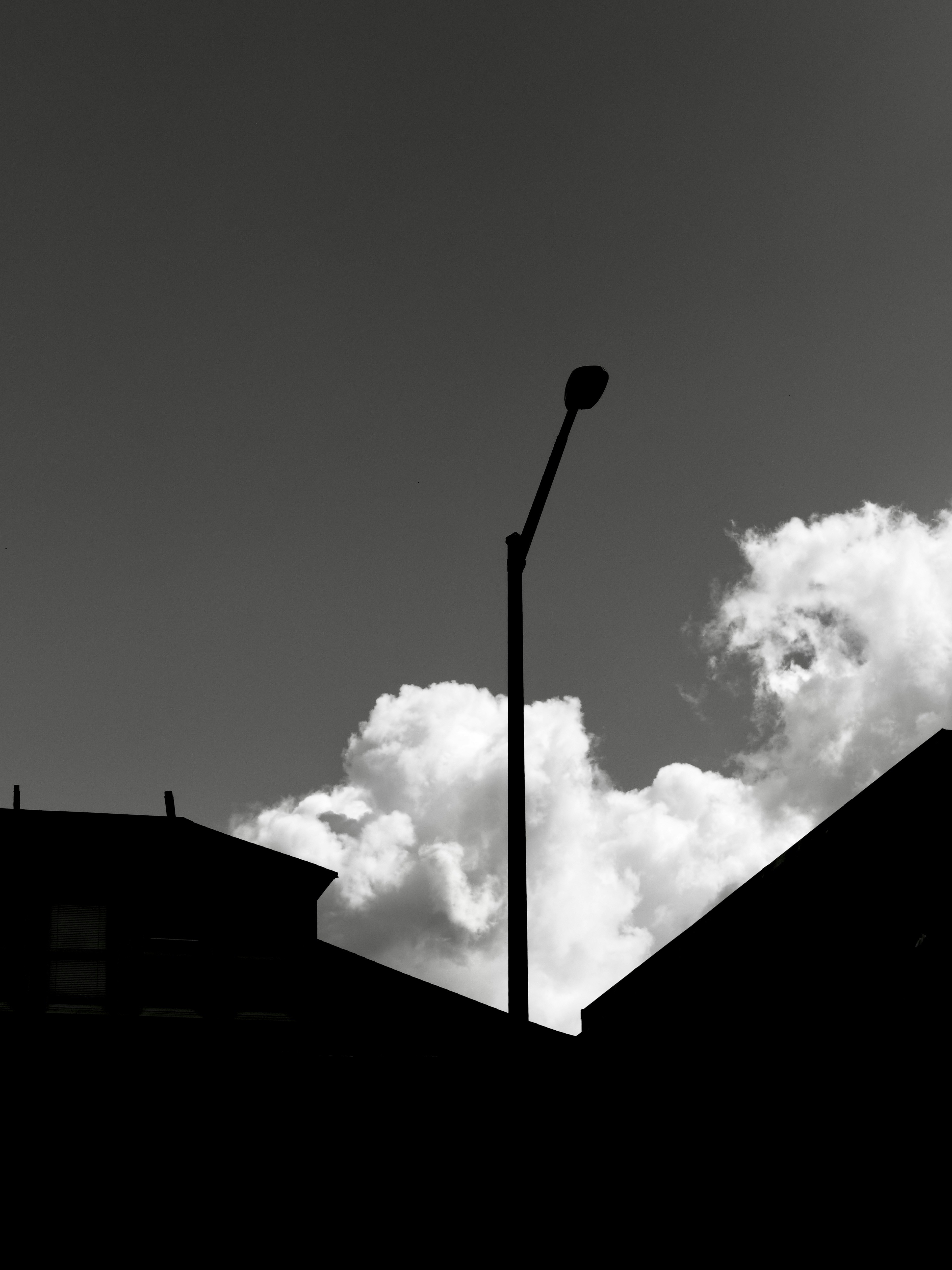 Photo by sschusterphotoart