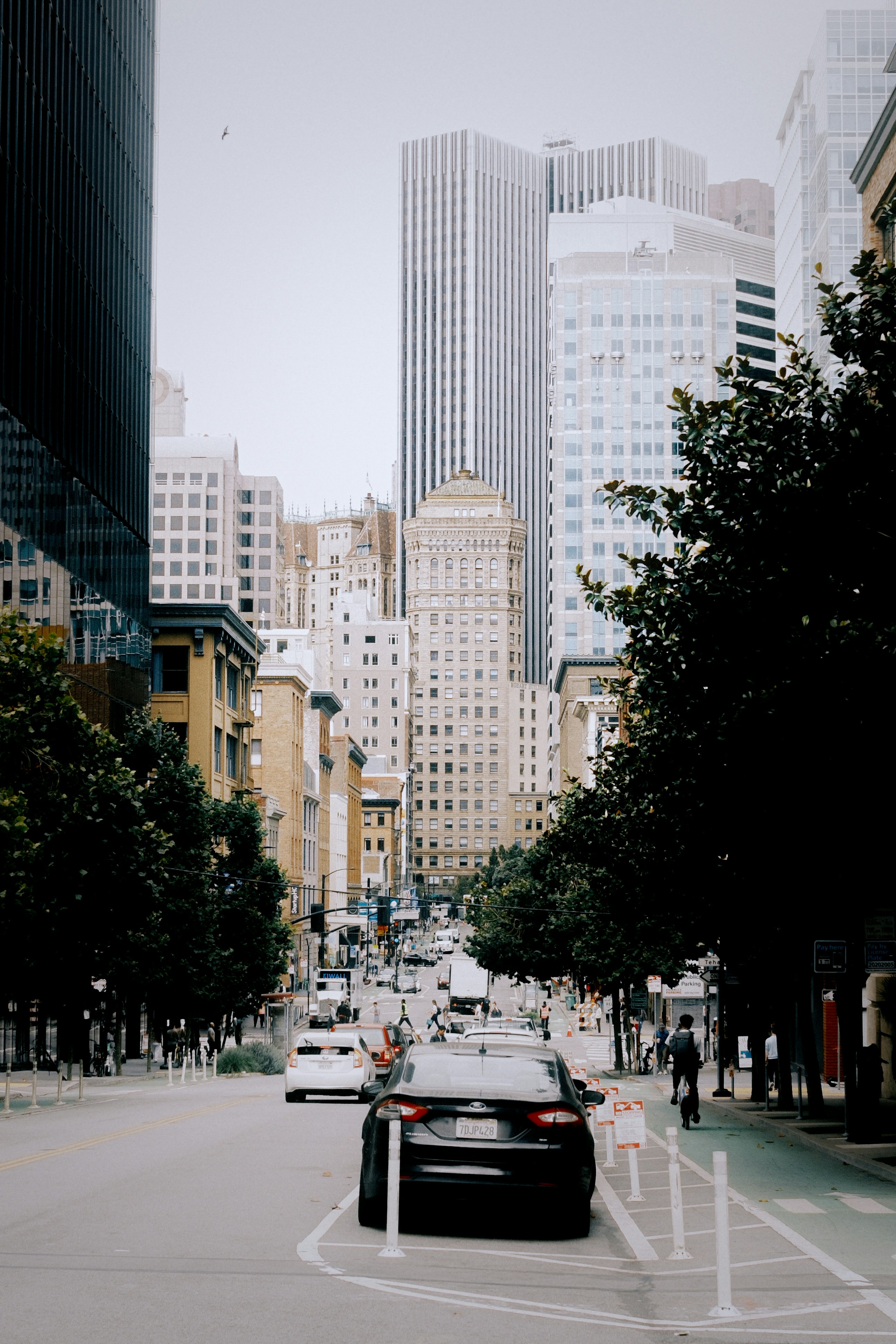 Cars on a city street lined with trees and buildings.