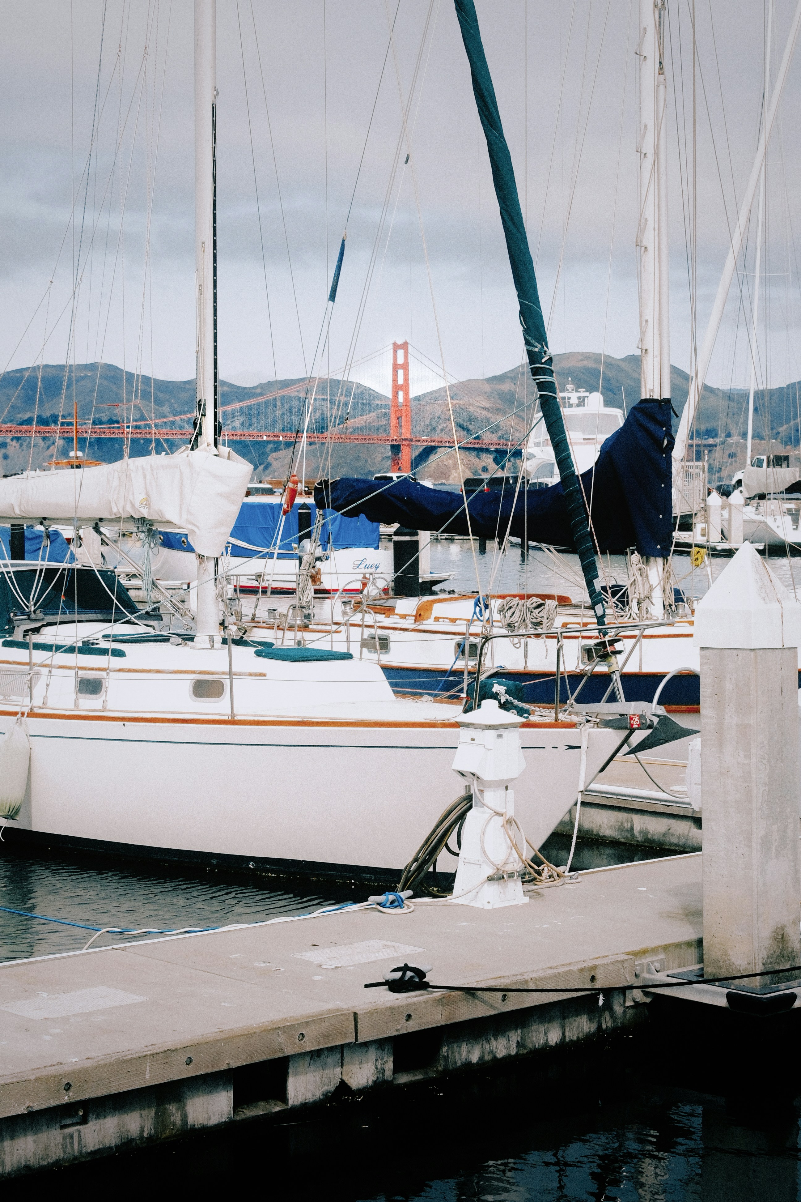 Sailboats docked with golden gate bridge in background