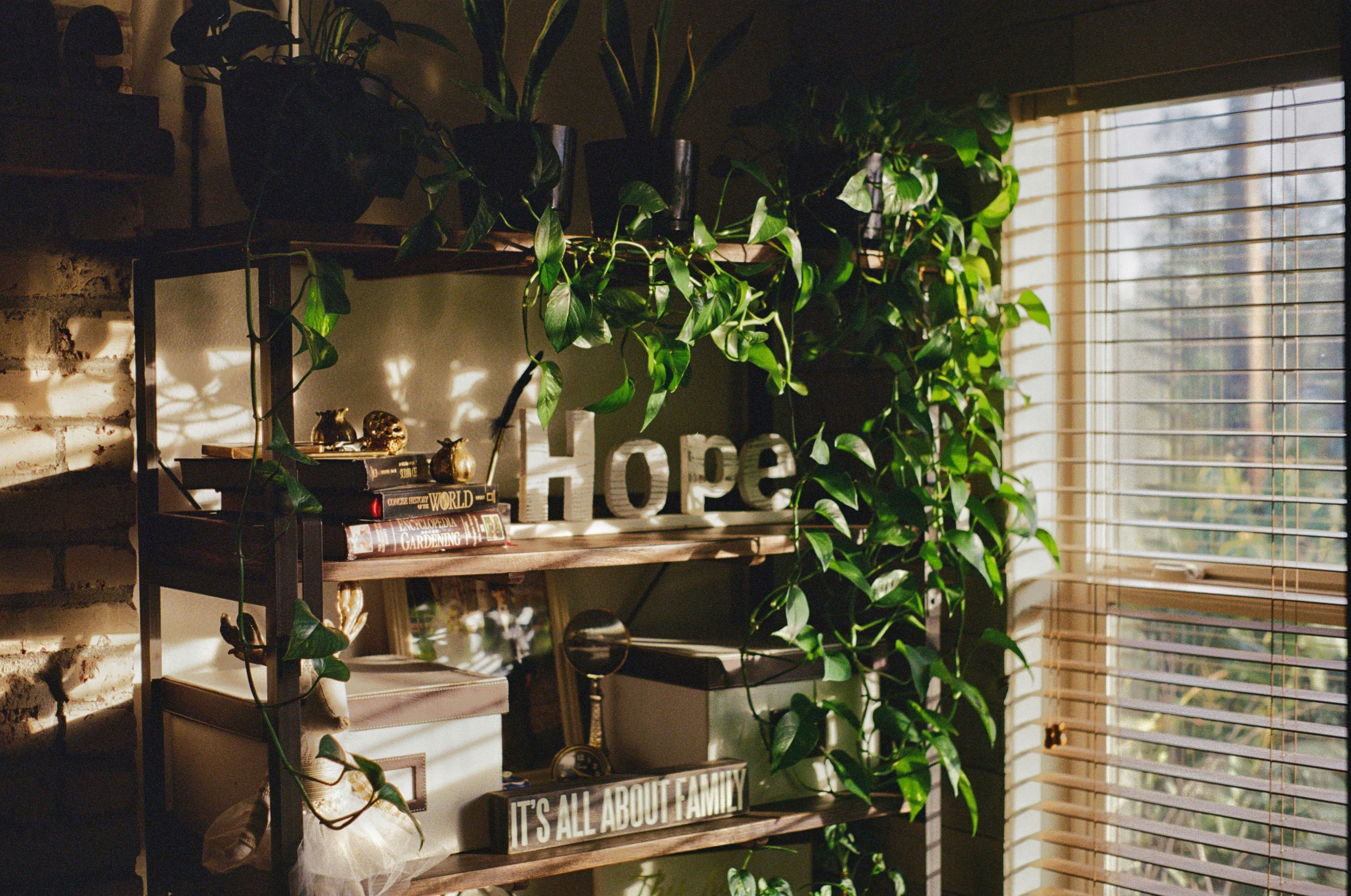 Interested Regarding The Simplicity Of Decluttering? Discover The Wide Variety Of Benefits That Come With Making Use Of A Specialist Junk Removal Service For Your Next Cleanout